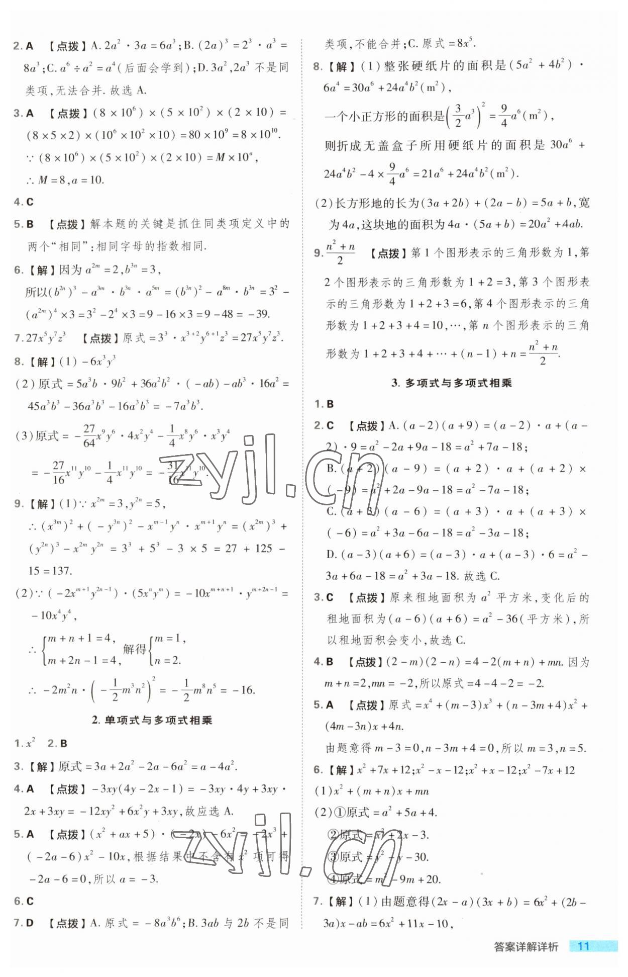 2023年綜合應(yīng)用創(chuàng)新題典中點(diǎn)八年級(jí)數(shù)學(xué)上冊(cè)華師大版 第11頁(yè)