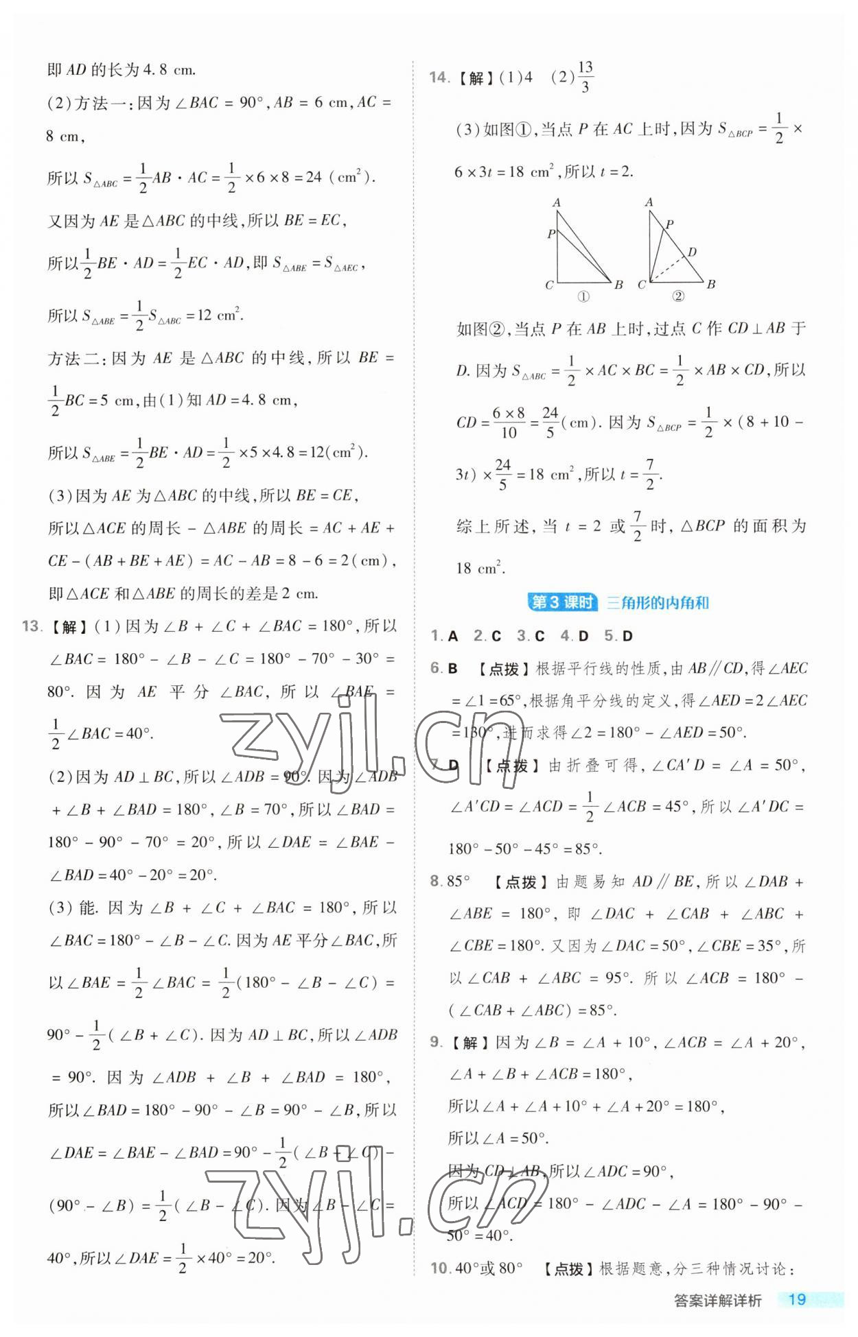 2023年綜合應(yīng)用創(chuàng)新題典中點八年級數(shù)學(xué)上冊湘教版 第19頁