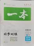 2023年一本同步訓(xùn)練初中化學九年級上冊人教版安徽專版