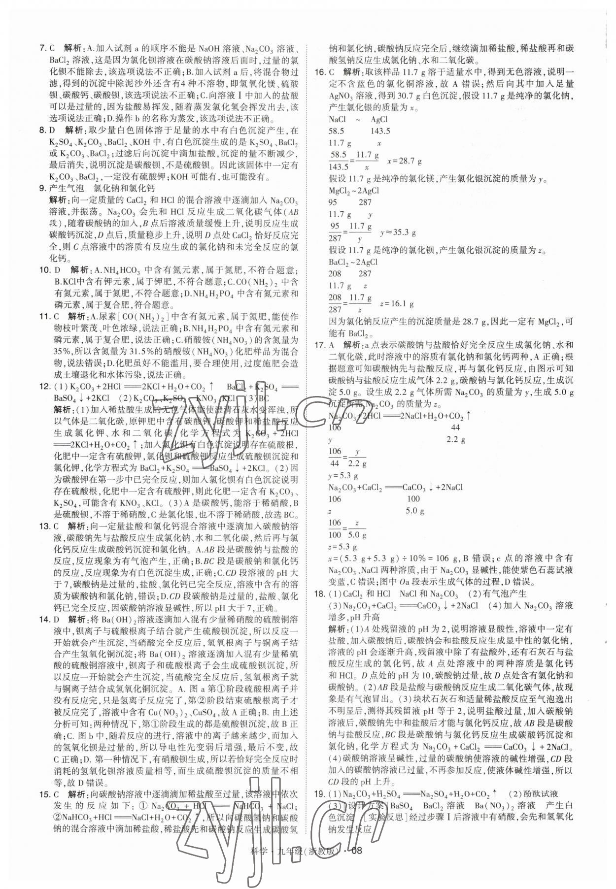 2023年經(jīng)綸學(xué)典學(xué)霸九年級(jí)科學(xué)全一冊浙教版 第8頁