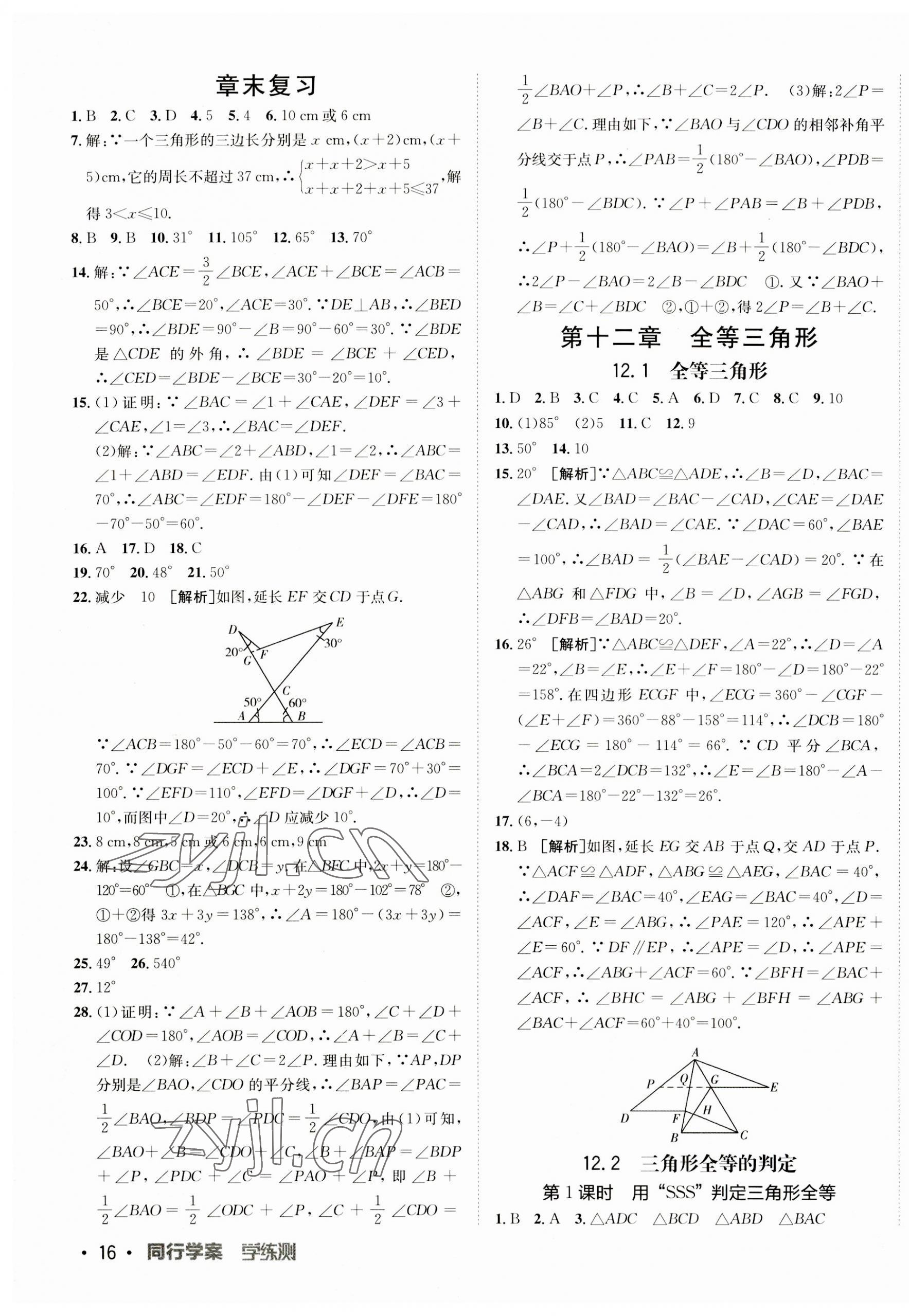 2023年同行學(xué)案八年級數(shù)學(xué)上冊人教版 第3頁