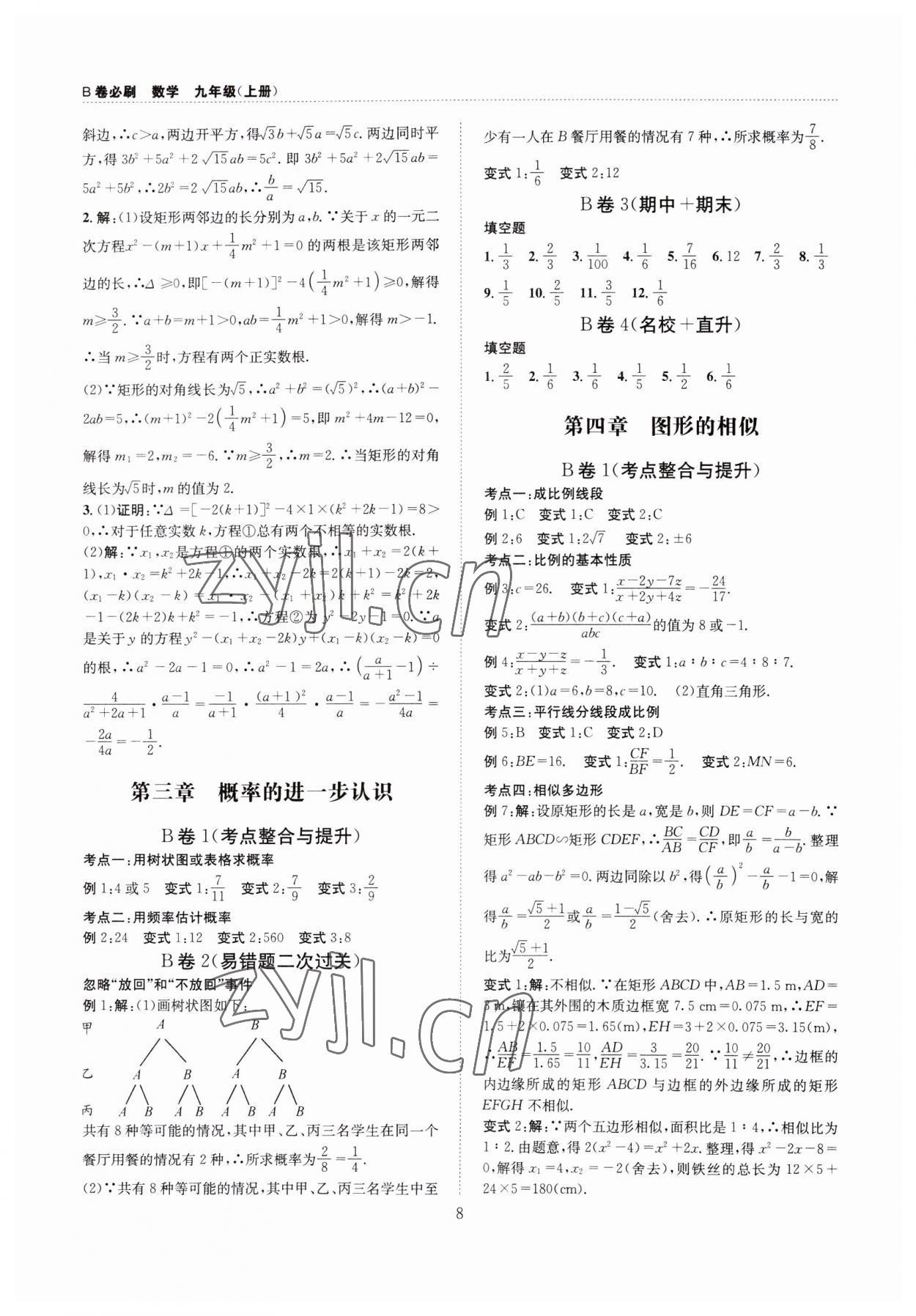 2023年B卷必刷九年級數學全一冊北師大版 第8頁