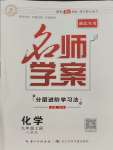 2023年名師學(xué)案九年級化學(xué)上冊人教版湖北專版