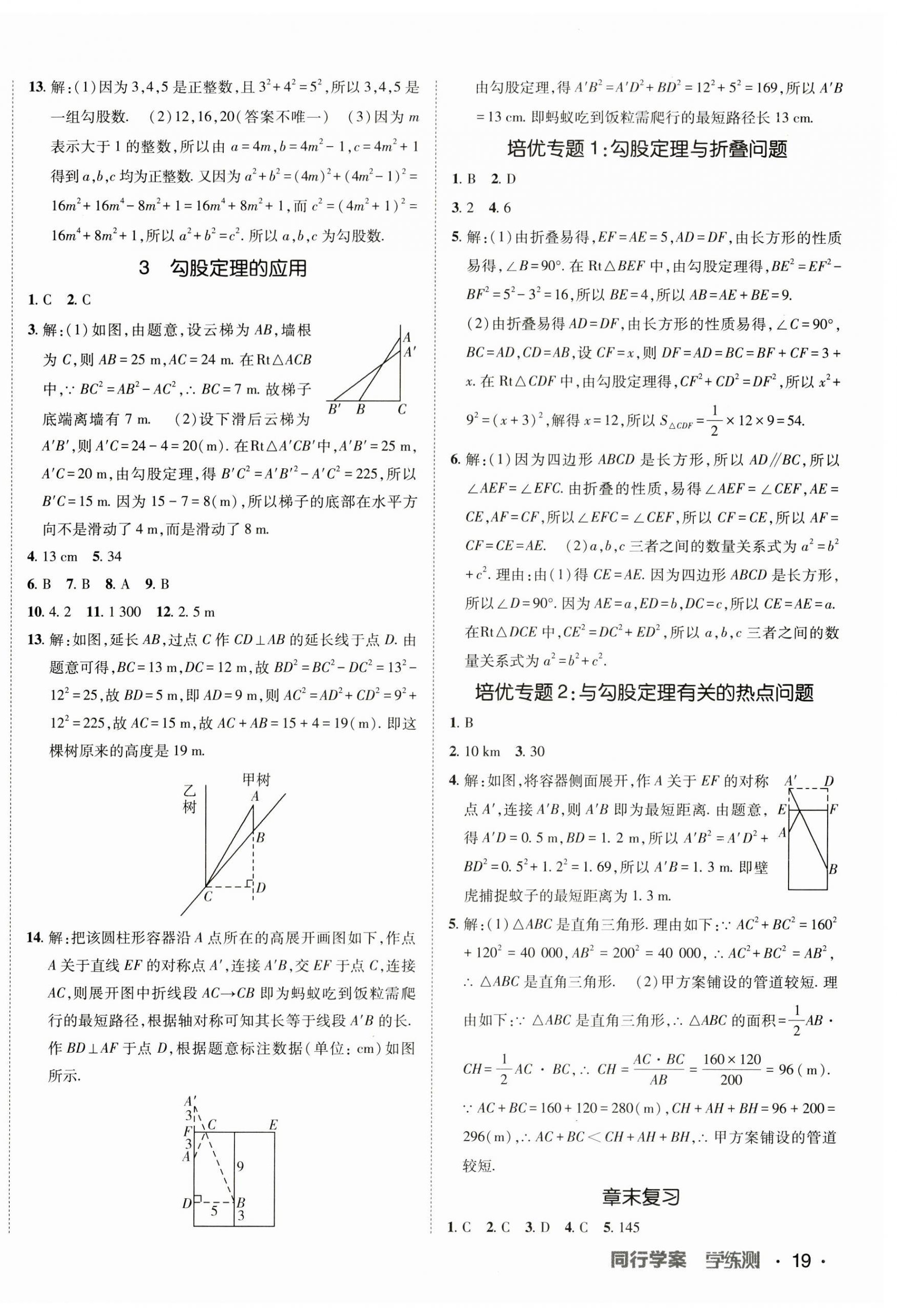 2023年同行學(xué)案課堂達標(biāo)八年級數(shù)學(xué)上冊北師大版 第2頁