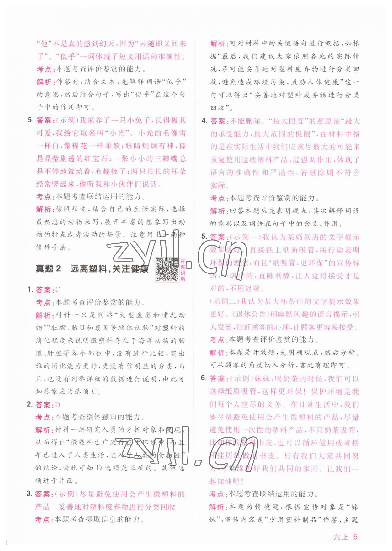 2023年陽光同學同步閱讀素養測試六年級語文上冊人教版 第5頁