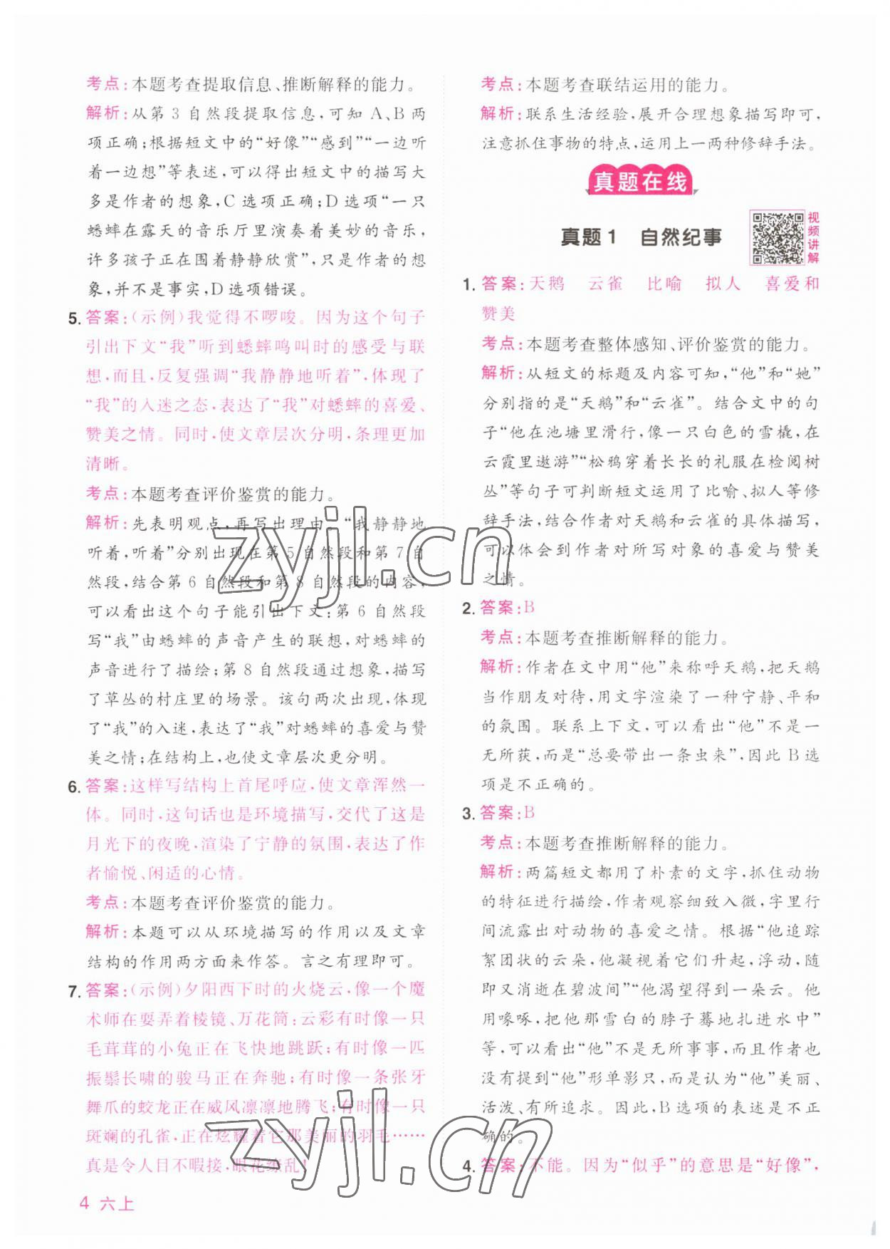 2023年陽光同學同步閱讀素養測試六年級語文上冊人教版 第4頁