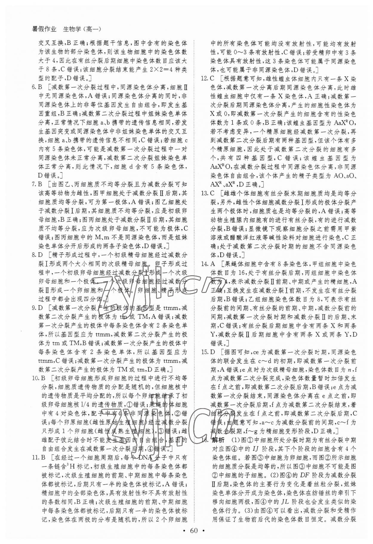 2023年暑假作业黑龙江教育出版社高一生物 第8页