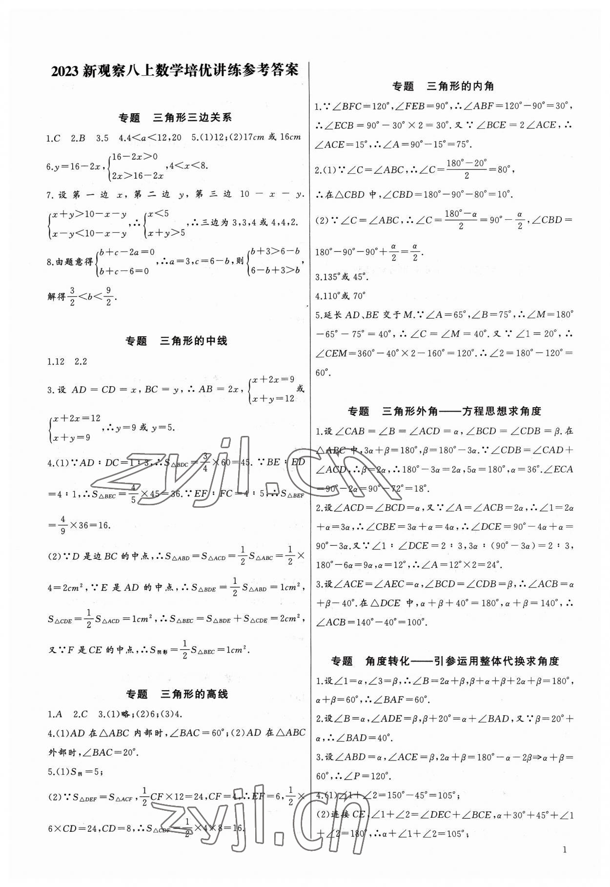 2023年新课堂新观察培优讲练八年级数学上册人教版 第1页