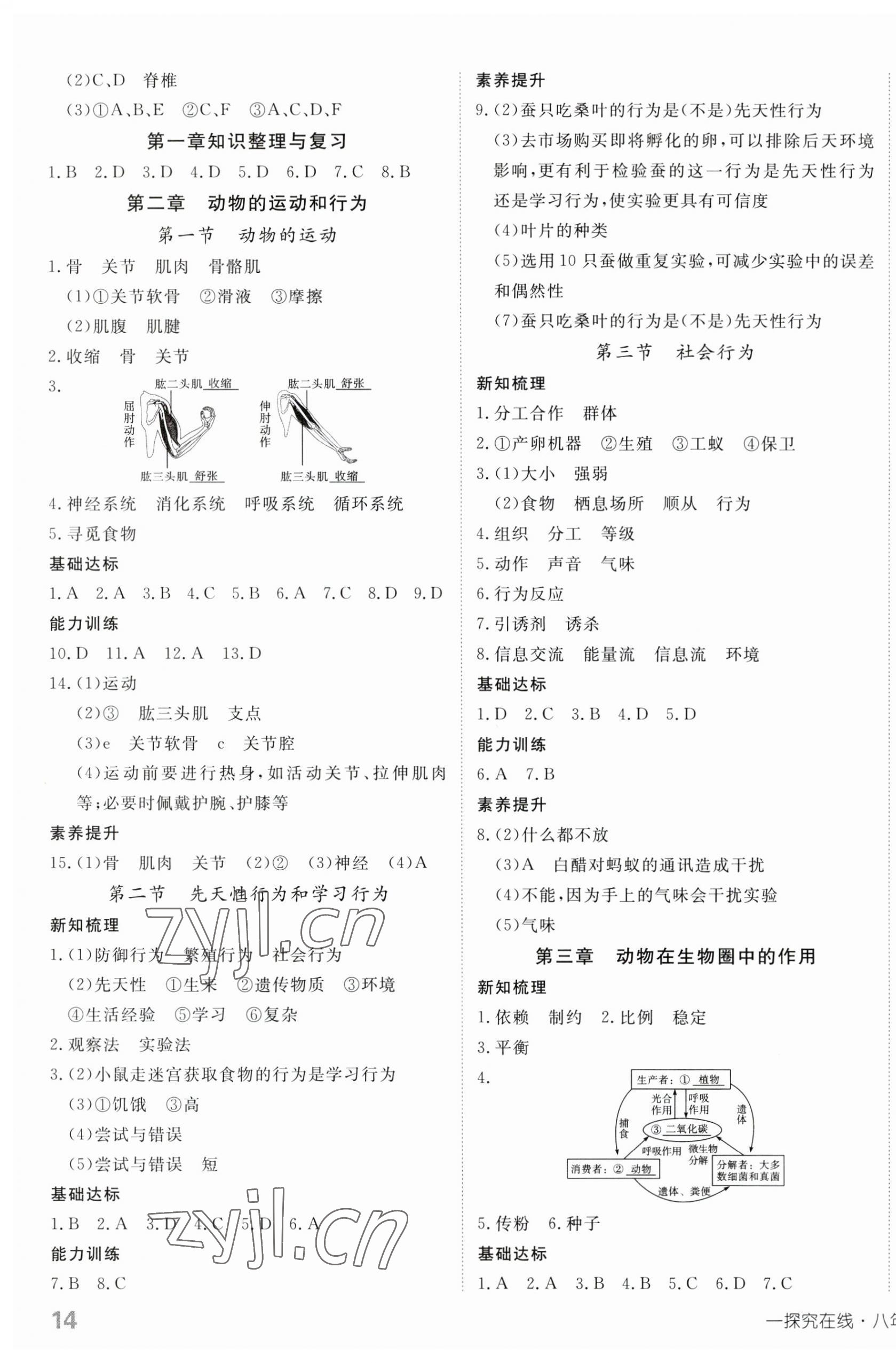 2023年探究在线高效课堂八年级生物上册人教版 参考答案第3页