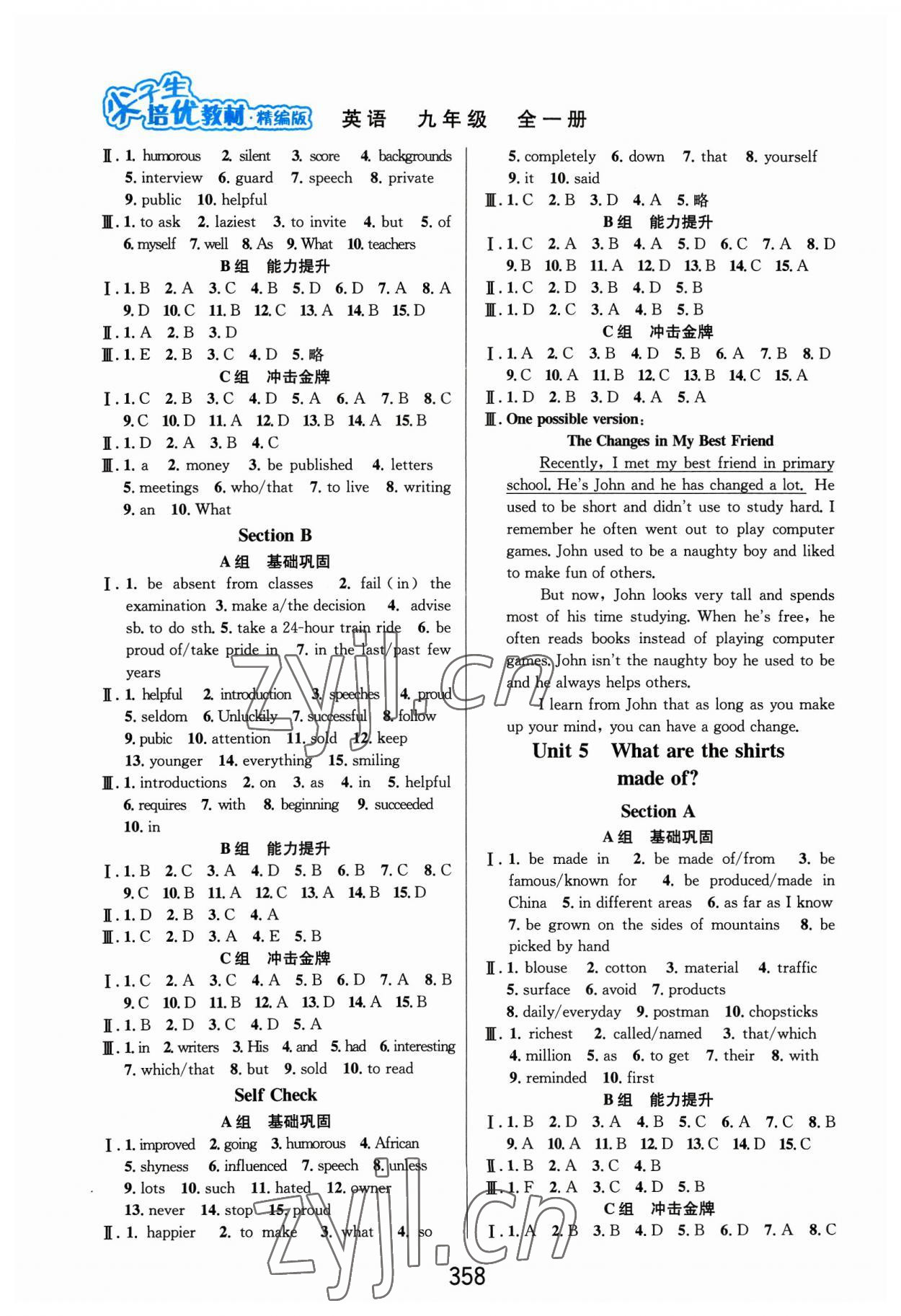 2023年尖子生培優(yōu)教材九年級英語全一冊人教版精編版 第4頁