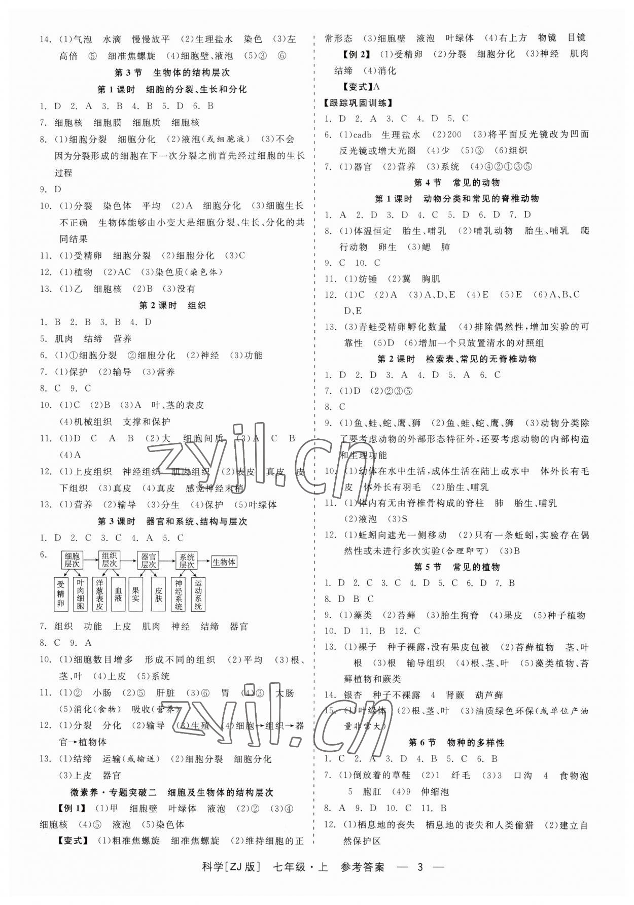 2023年精彩练习就练这一本七年级科学上册浙教版 第3页