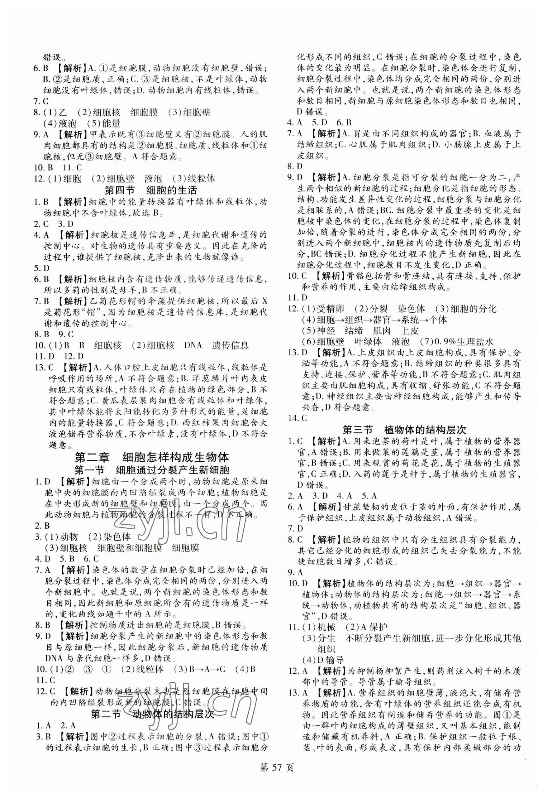 2023年追夢之旅大先生七年級生物上冊人教版河南專版 第3頁