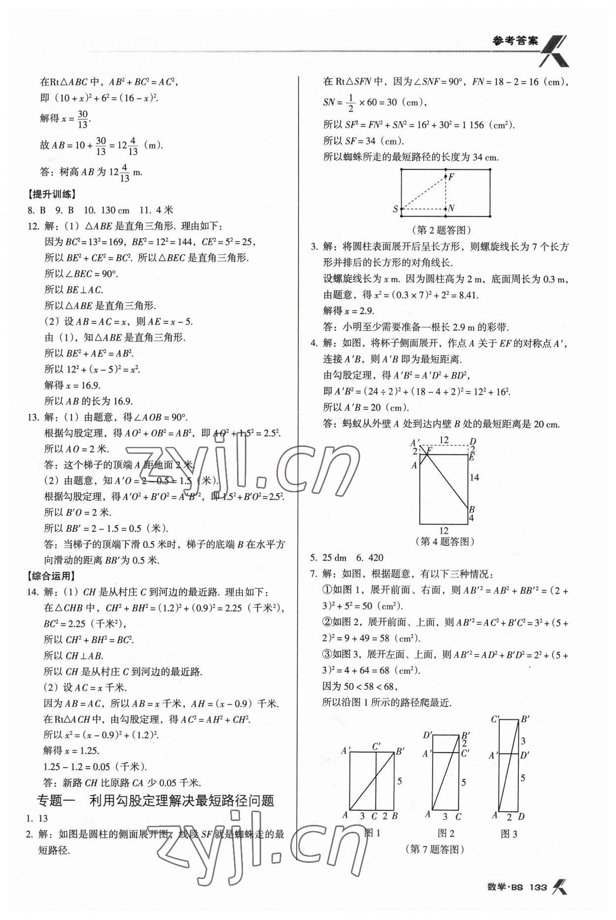 2023年全優(yōu)點(diǎn)練課計(jì)劃八年級數(shù)學(xué)上冊北師大版 第3頁