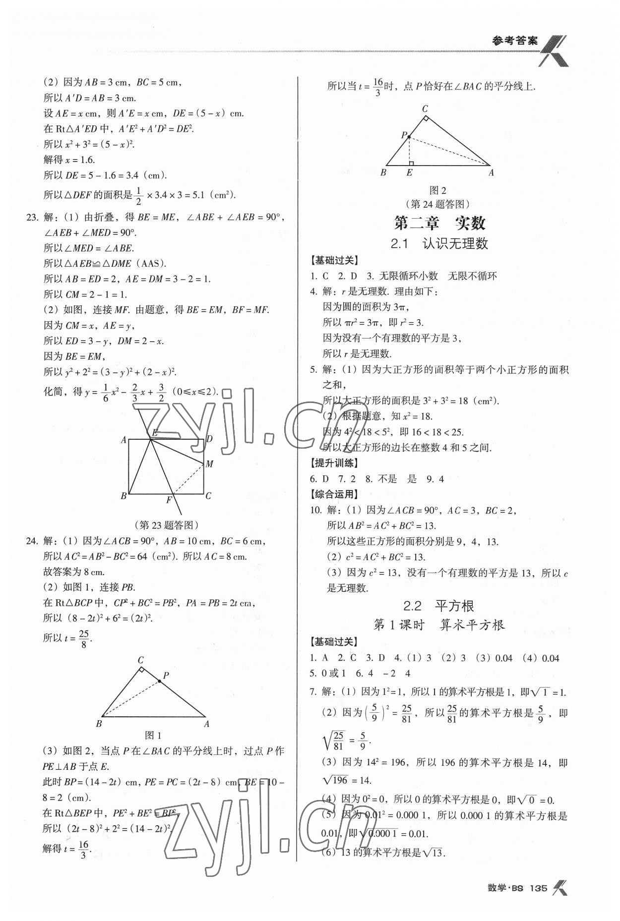 2023年全优点练课计划八年级数学上册北师大版 第5页