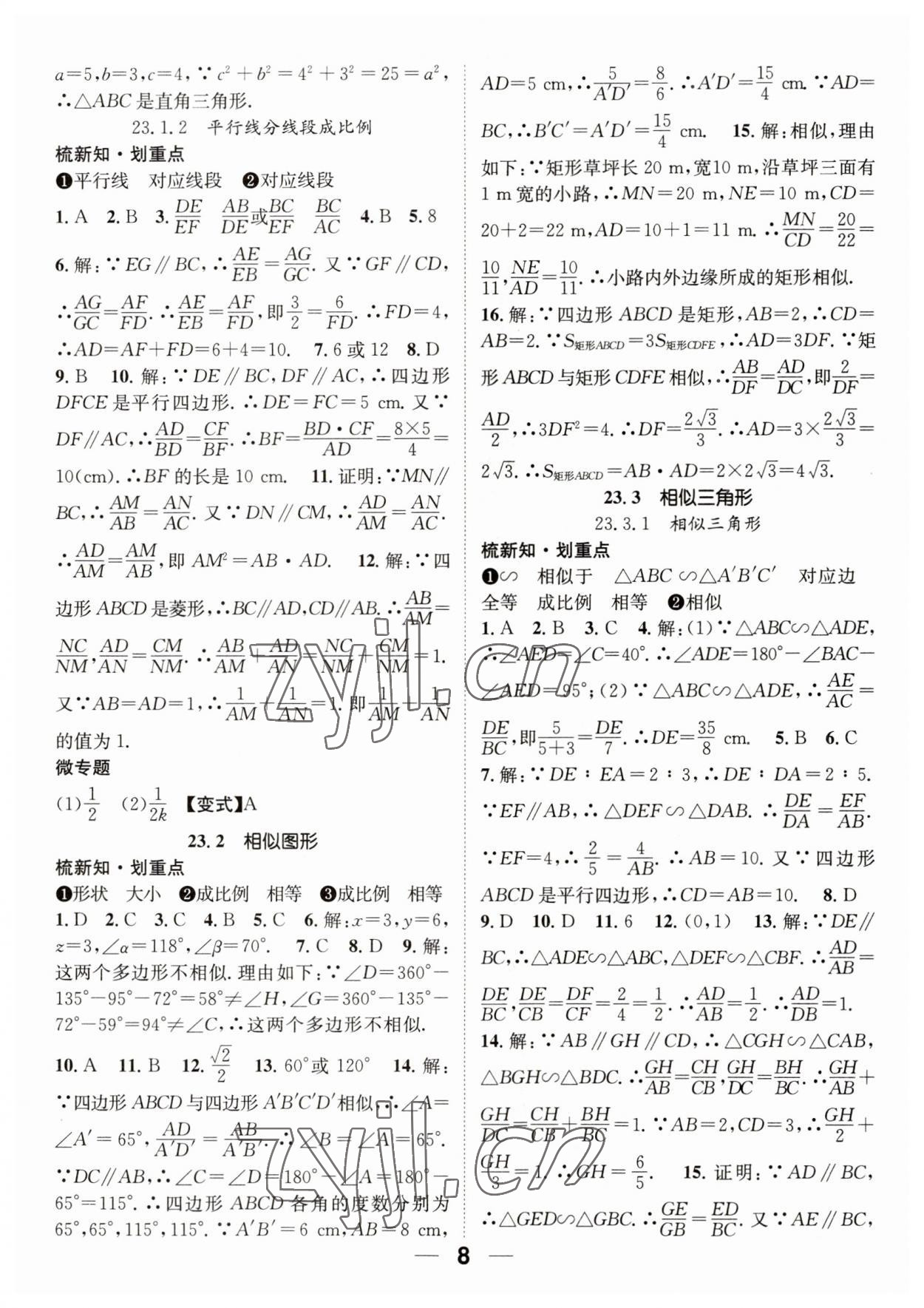 2023年精英新課堂九年級(jí)數(shù)學(xué)上冊(cè)華師大版 參考答案第8頁