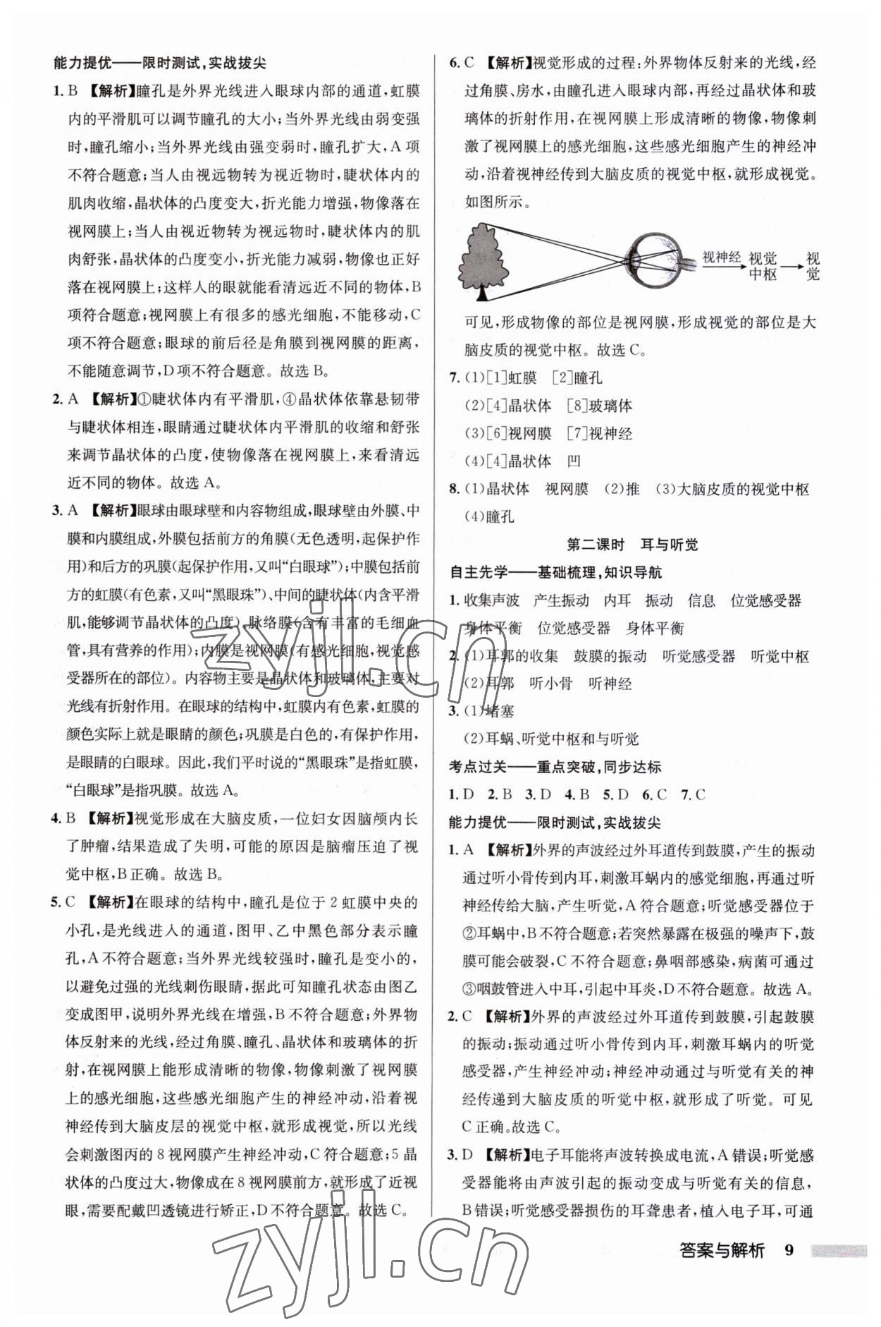 2023年啟東中學作業(yè)本八年級生物全一冊蘇科版 第9頁