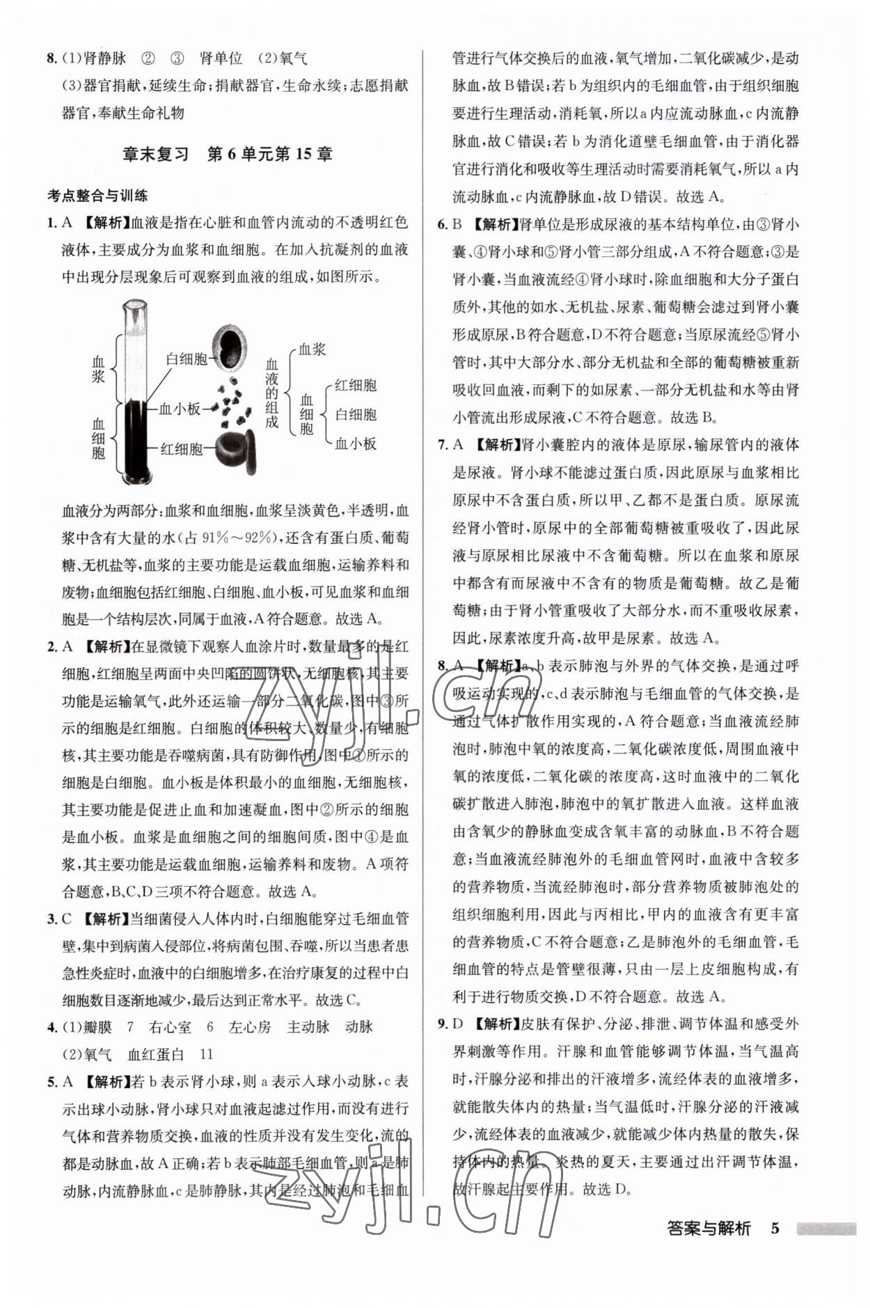 2023年啟東中學(xué)作業(yè)本八年級生物全一冊蘇科版 第5頁