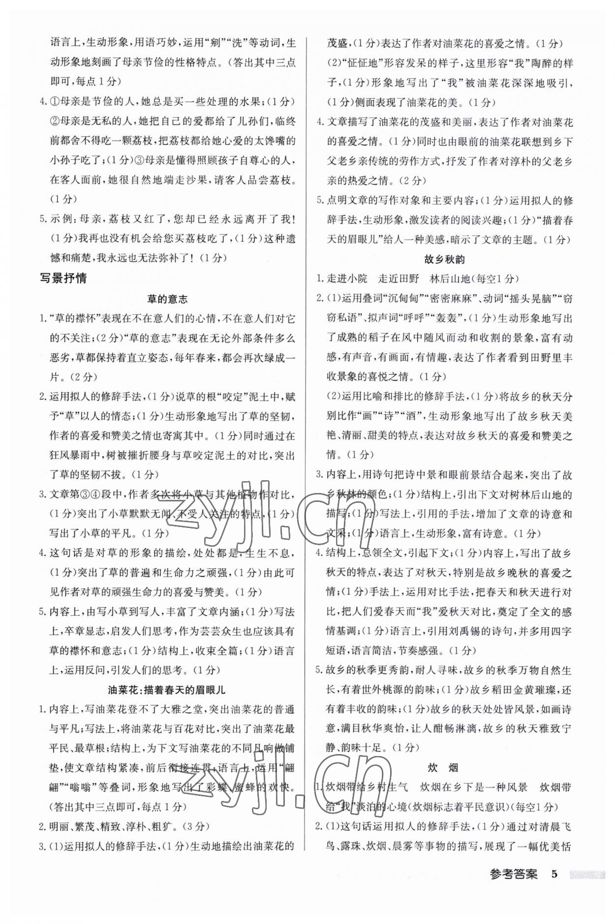 2023年启东专项作业本七年级语文阅读组合训练 第5页