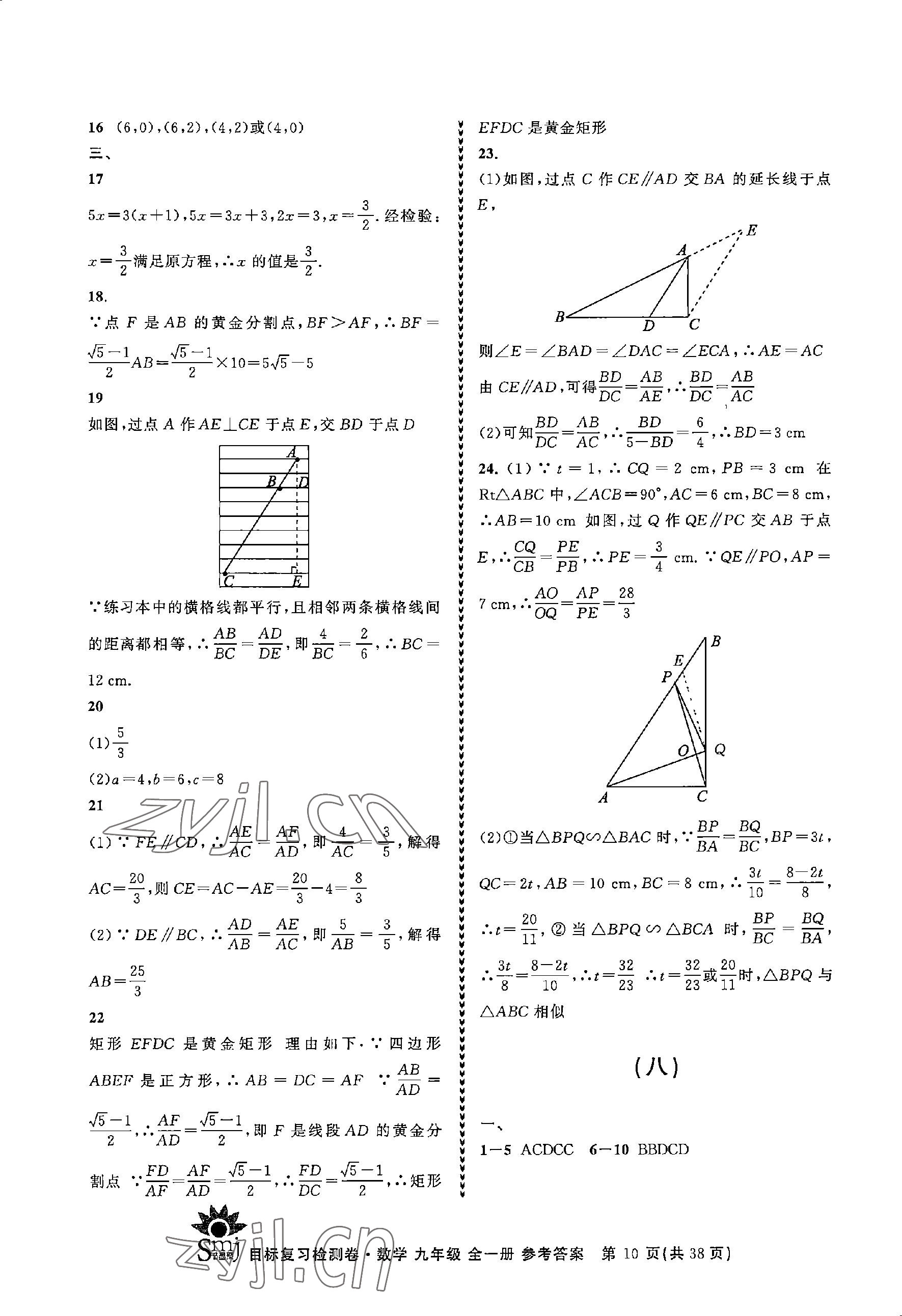 2023年目標(biāo)復(fù)習(xí)檢測(cè)卷九年級(jí)數(shù)學(xué)全一冊(cè)浙教版 參考答案第10頁