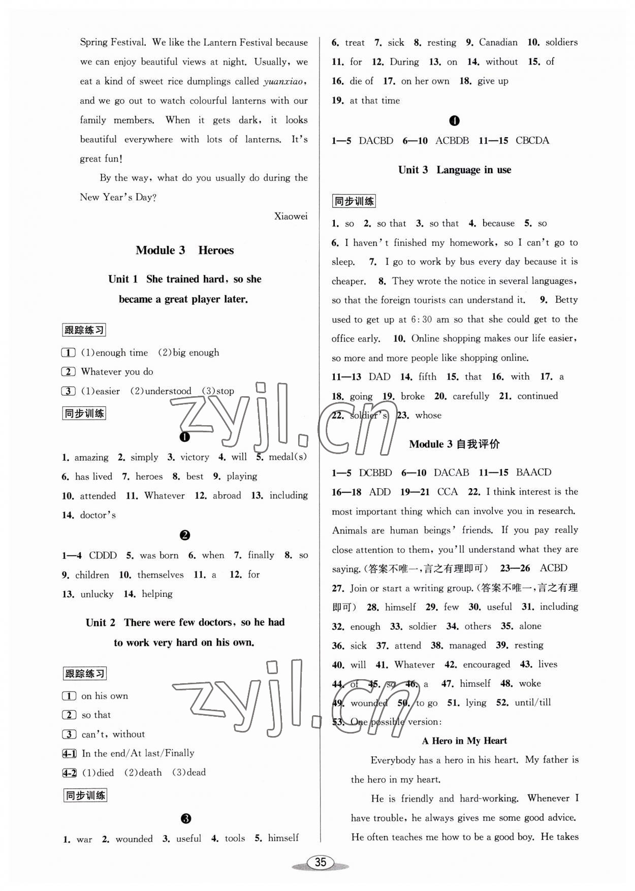 2023年教與學課程同步講練九年級英語全一冊外研新標準 第3頁