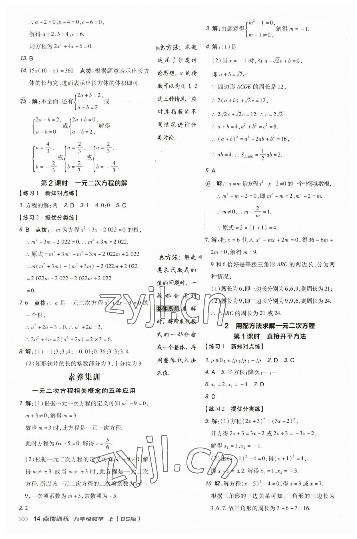 2023年点拨训练九年级数学上册北师大版 第13页