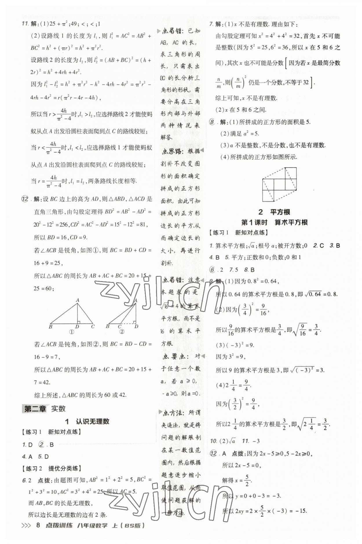 2023年點撥訓練八年級數(shù)學上冊北師大版 參考答案第7頁