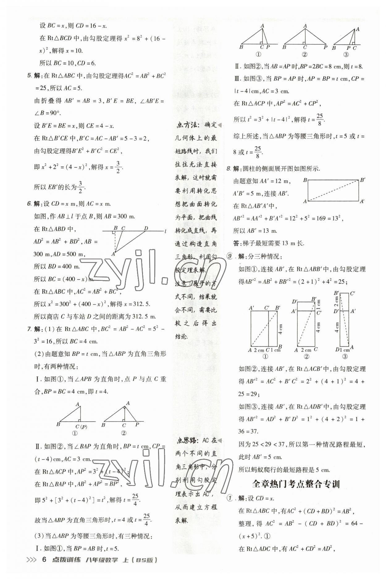 2023年點(diǎn)撥訓(xùn)練八年級數(shù)學(xué)上冊北師大版 參考答案第5頁