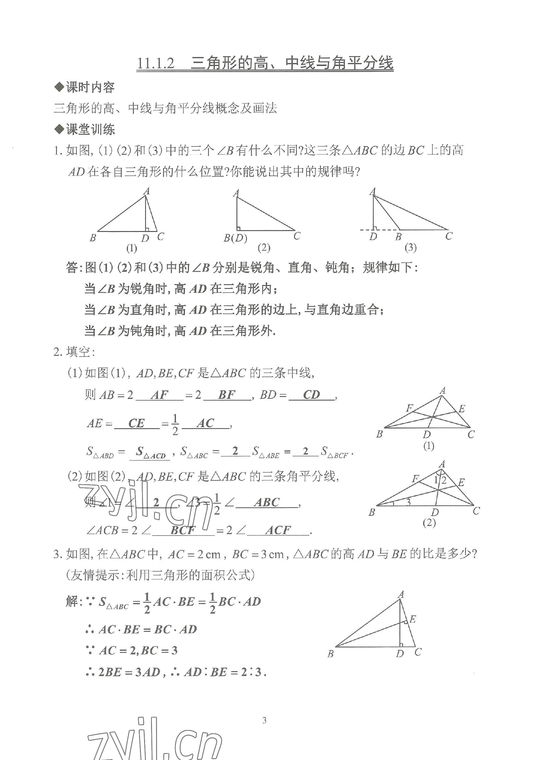 2023年活頁練習(xí)八年級數(shù)學(xué)上冊人教版 參考答案第3頁