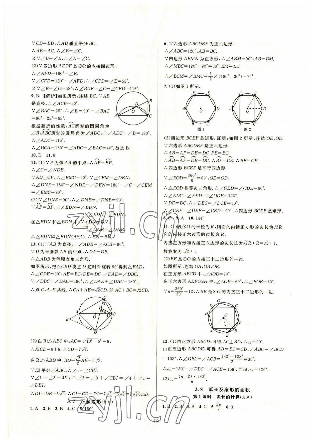 2023年全優(yōu)新同步九年級數(shù)學(xué)全一冊浙教版 參考答案第19頁