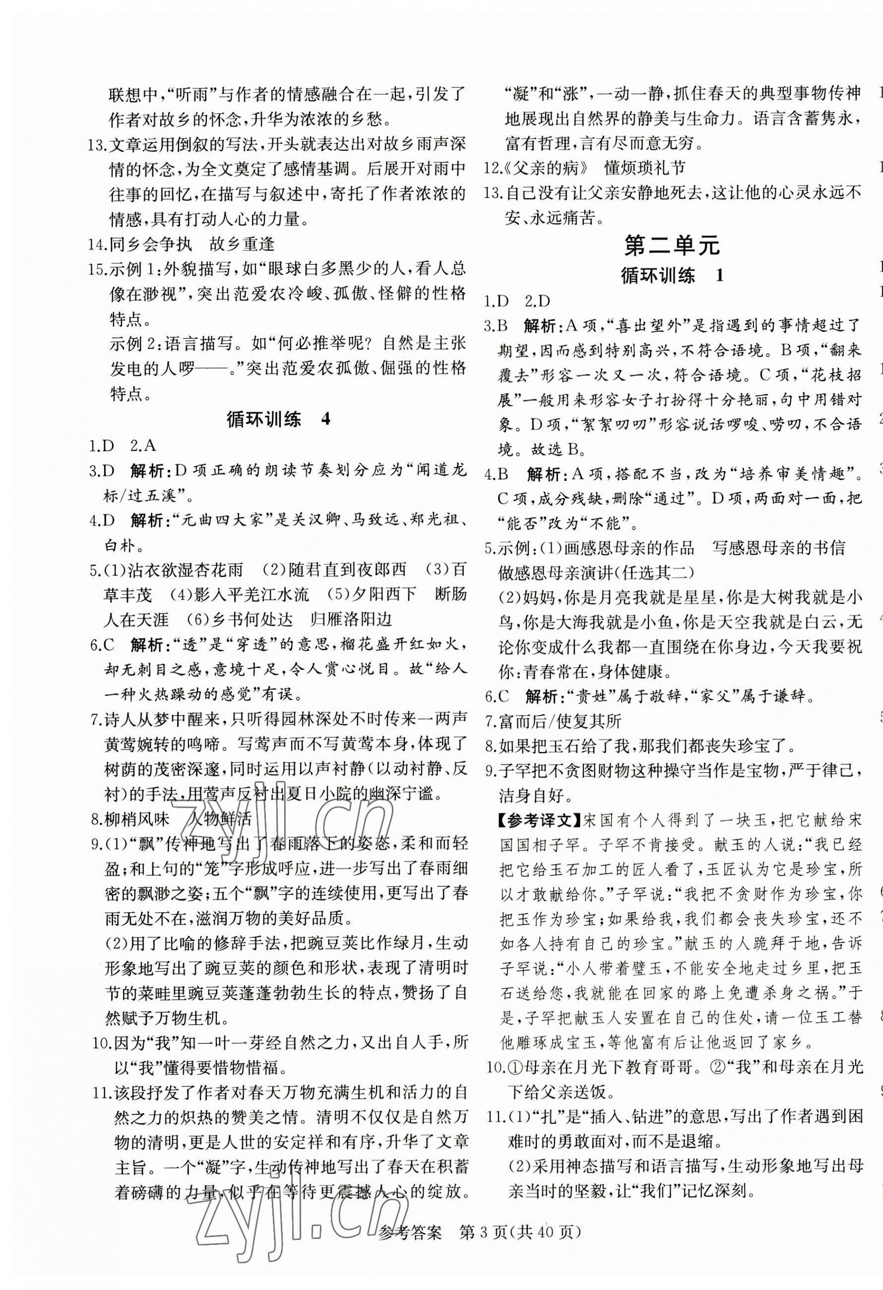 2023年課堂過(guò)關(guān)循環(huán)練七年級(jí)語(yǔ)文上冊(cè)人教版濟(jì)南專(zhuān)版 第3頁(yè)