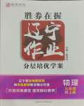 2023年遼寧作業(yè)分層培優(yōu)學(xué)案九年級物理上冊人教版