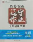 2023年遼寧作業(yè)分層培優(yōu)學案九年級英語上冊外研版