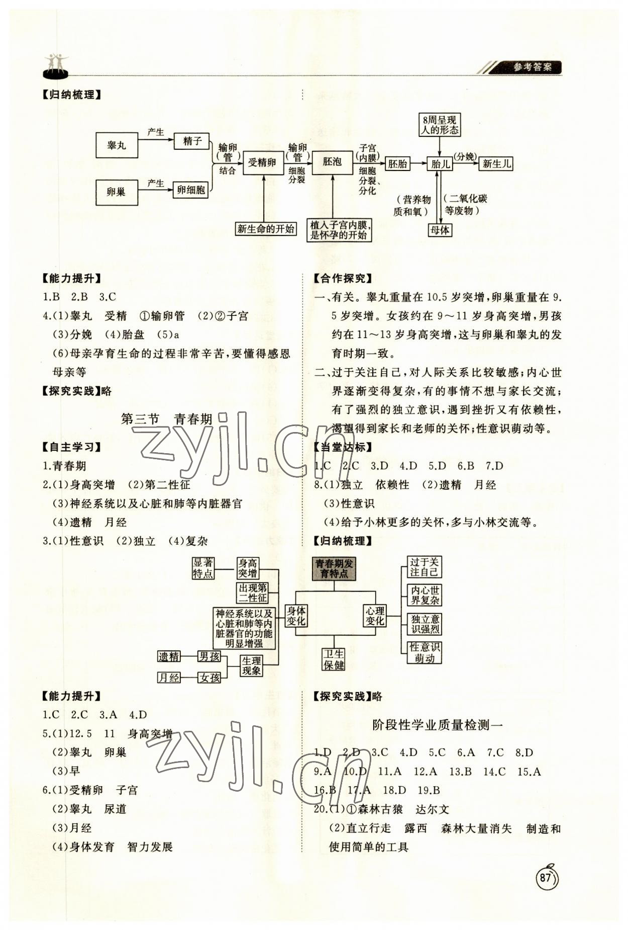 2023年初中同步練習(xí)冊(cè)七年級(jí)生物學(xué)上冊(cè)魯科版54制山東友誼出版社 第3頁(yè)