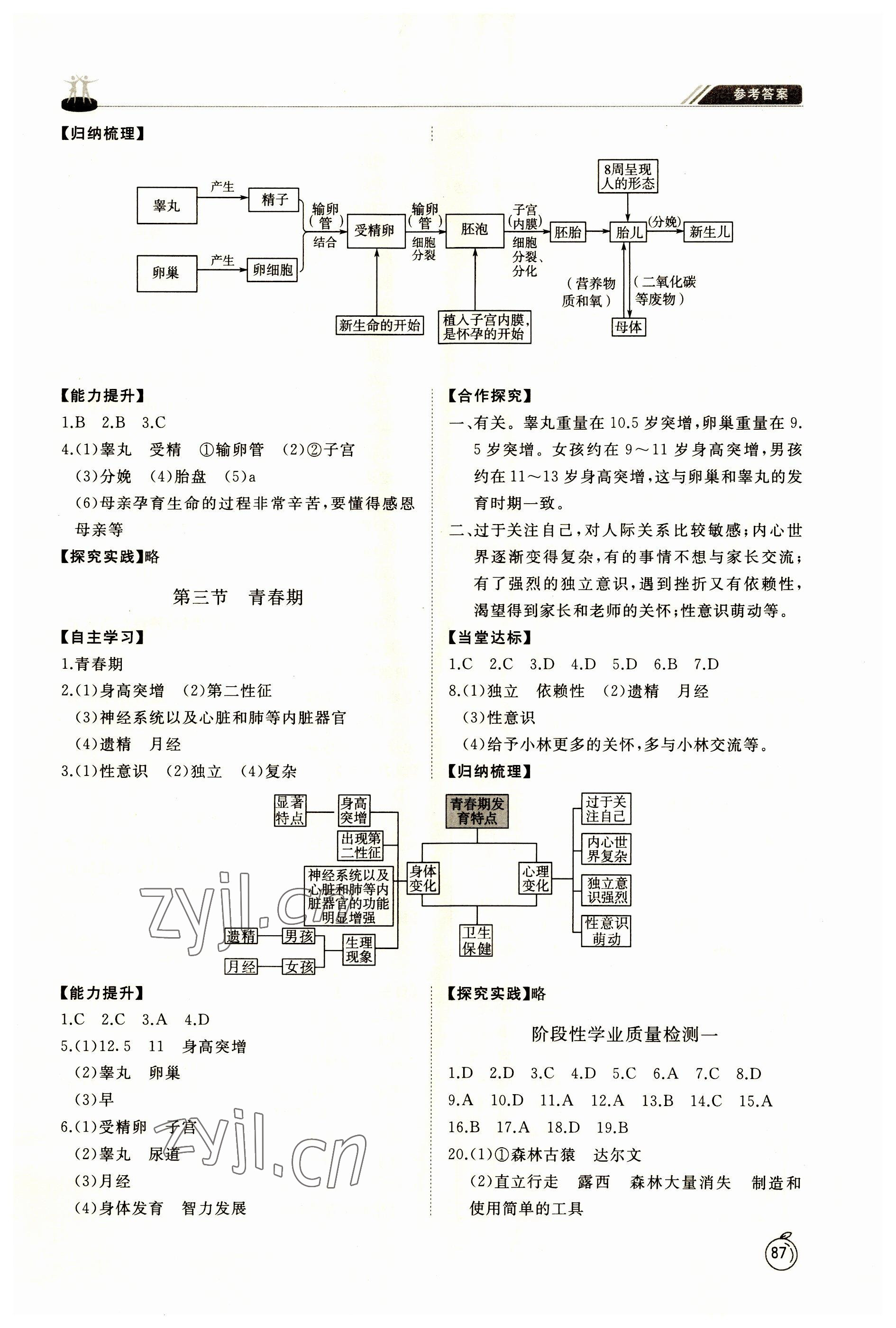 2023年初中同步練習(xí)冊七年級生物上冊魯科版54制山東科學(xué)技術(shù)出版社 參考答案第2頁