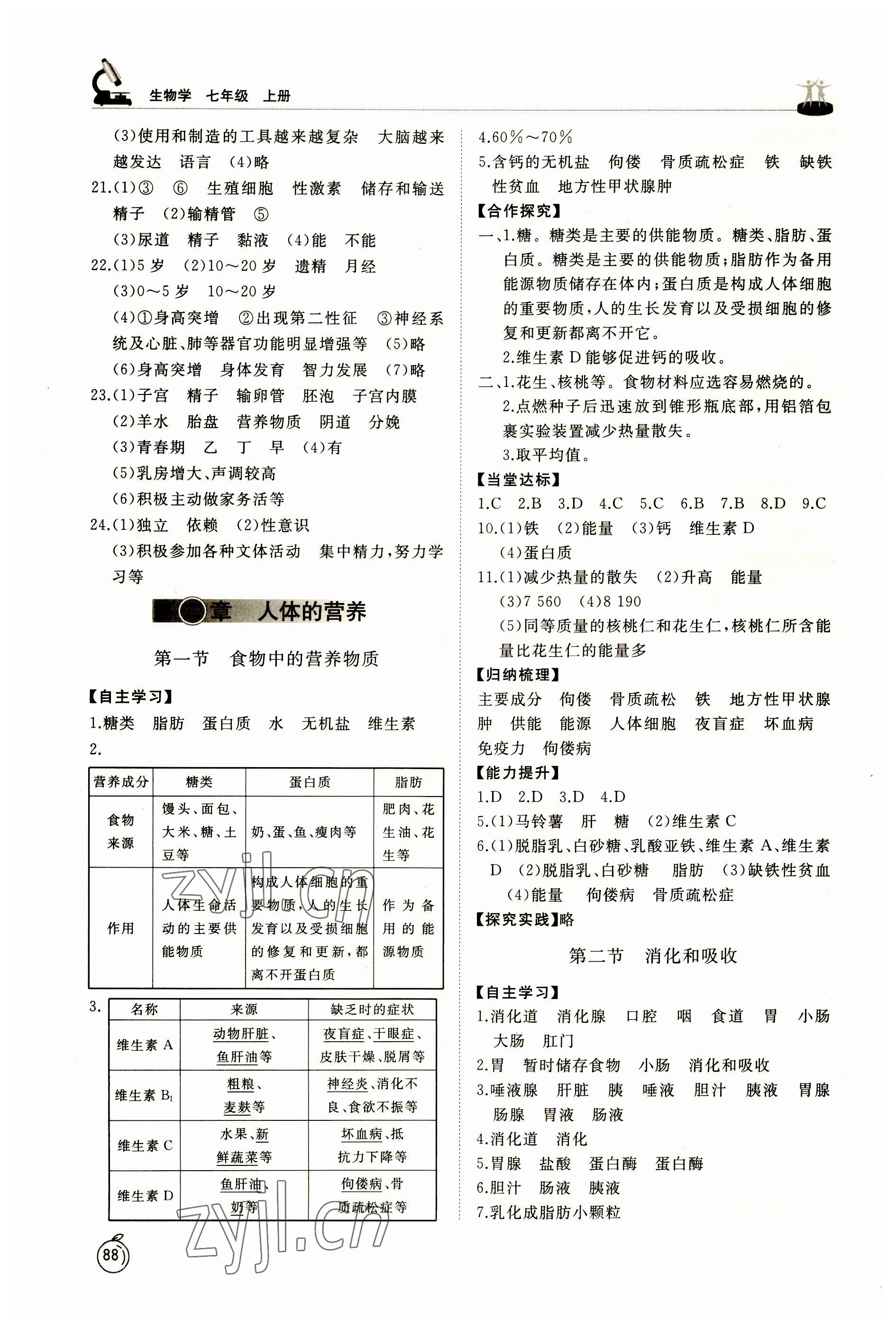 2023年初中同步練習(xí)冊七年級生物上冊魯科版54制山東科學(xué)技術(shù)出版社 參考答案第3頁