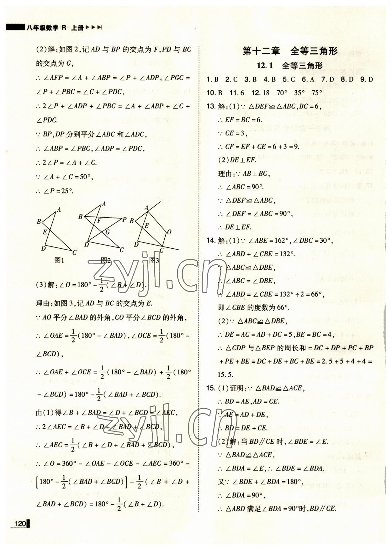 2023年辽宁作业分层培优学案八年级数学上册人教版 第6页