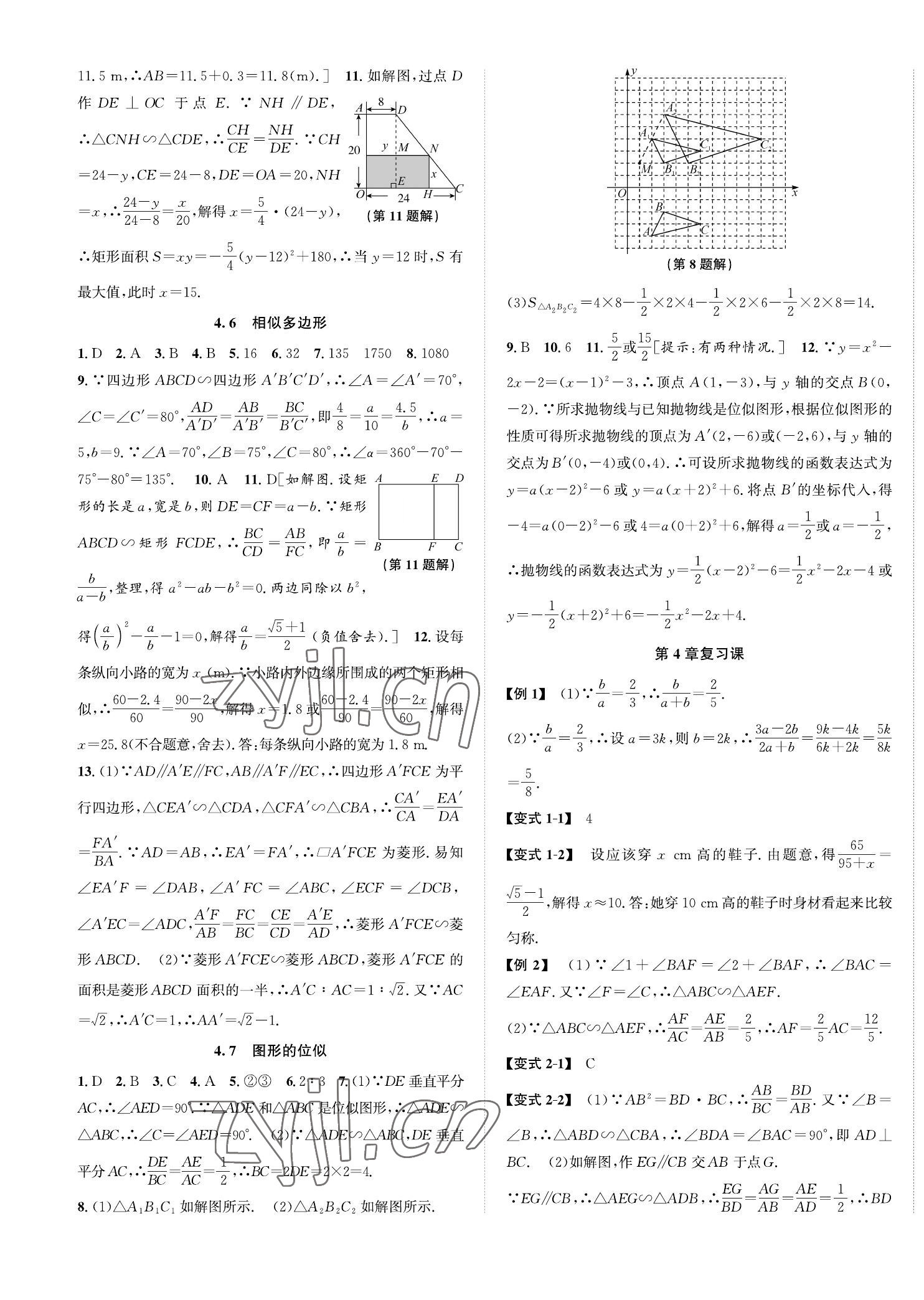 2023年自主輕松練九年級數(shù)學全一冊浙教版 第13頁