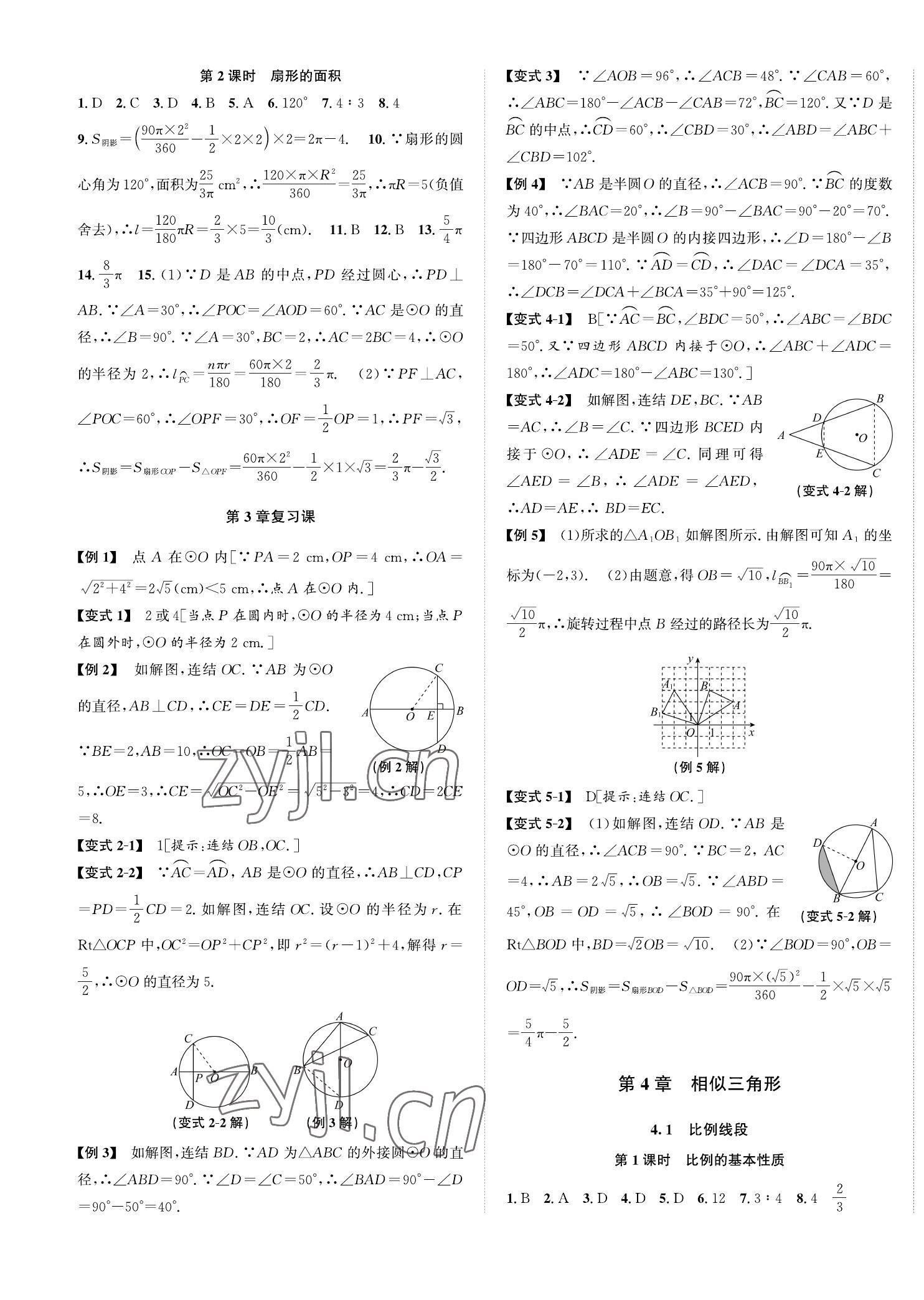 2023年自主輕松練九年級數學全一冊浙教版 第9頁
