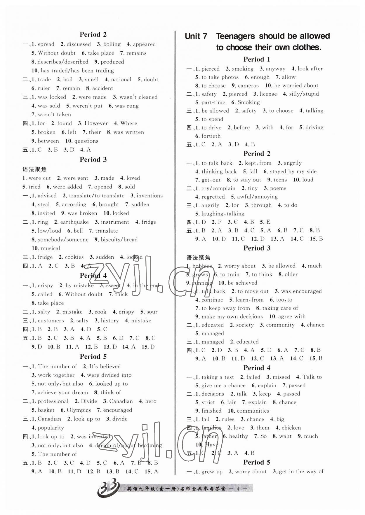 2023年名師金典BFB初中課時(shí)優(yōu)化九年級(jí)英語(yǔ)全一冊(cè)人教版 第4頁(yè)