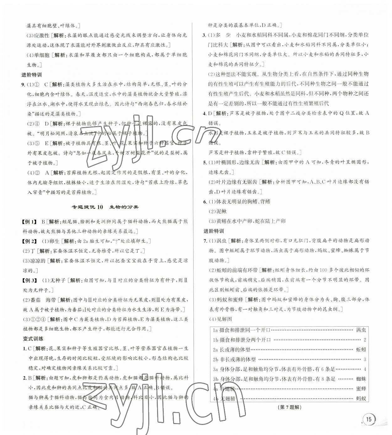 2023年優(yōu)加攻略七年級(jí)科學(xué)上冊(cè)浙教版 參考答案第7頁(yè)