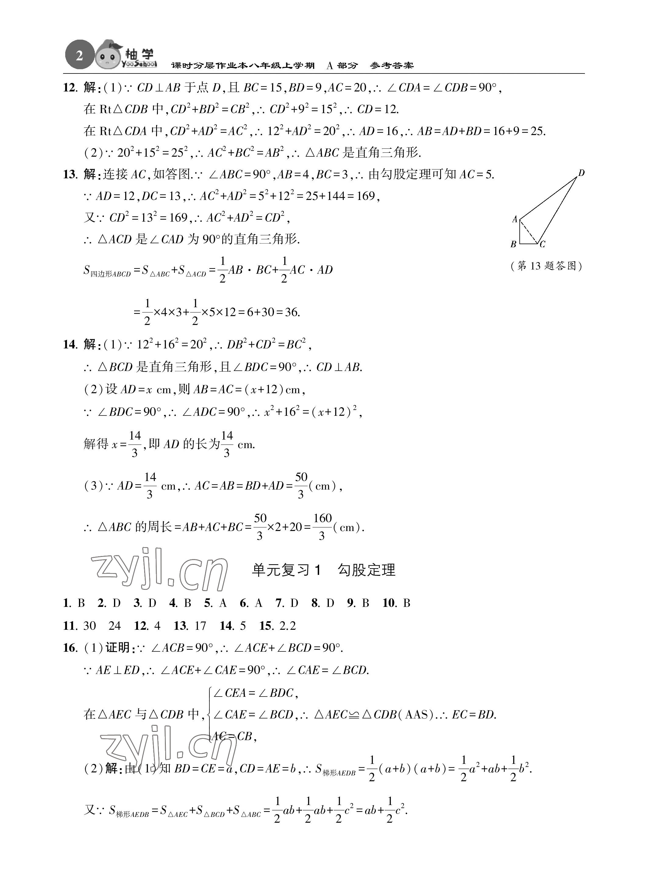 2023年課時分層作業(yè)本八年級數(shù)學(xué)上冊北師大版 參考答案第2頁