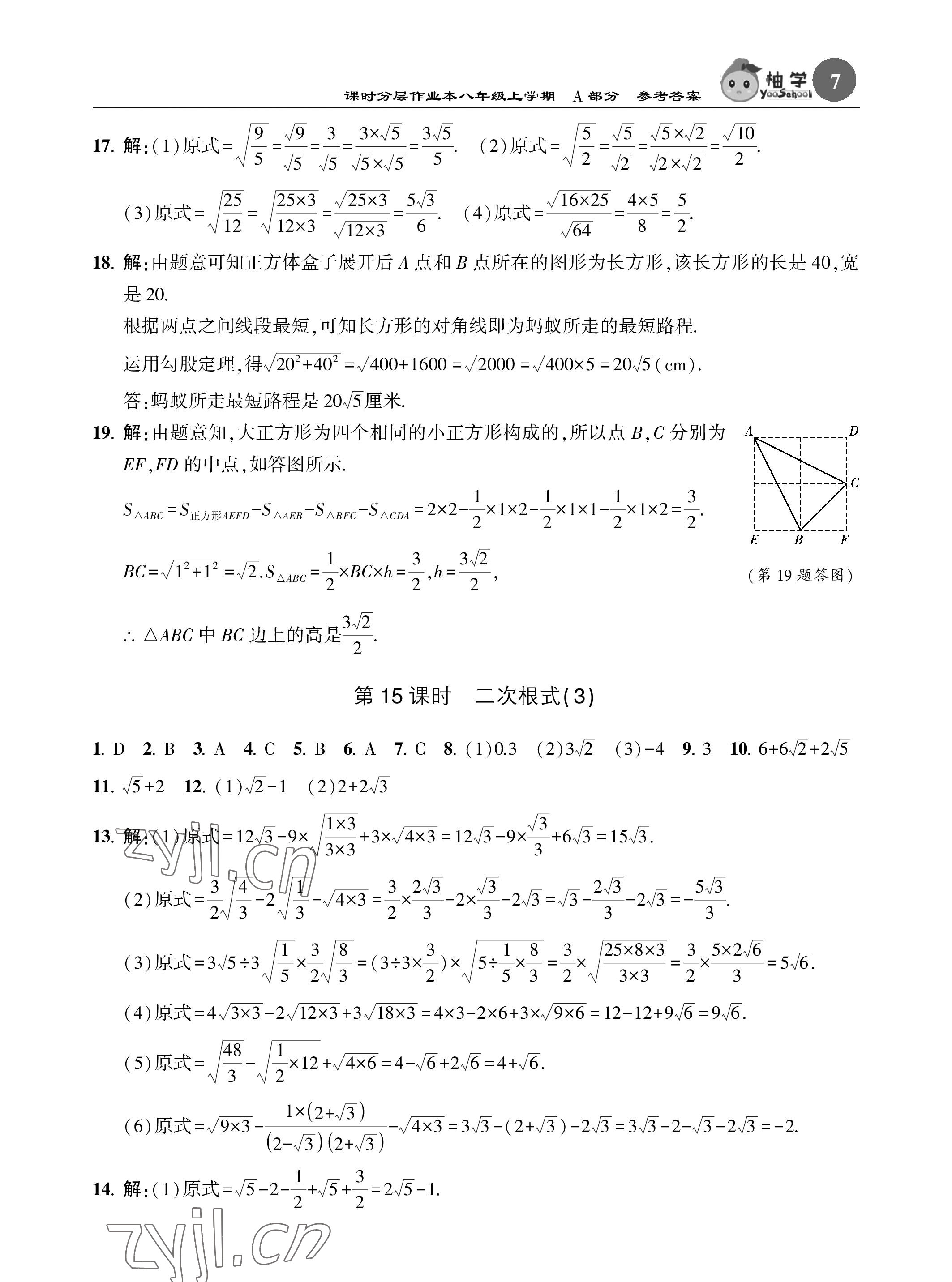 2023年课时分层作业本八年级数学上册北师大版 参考答案第7页