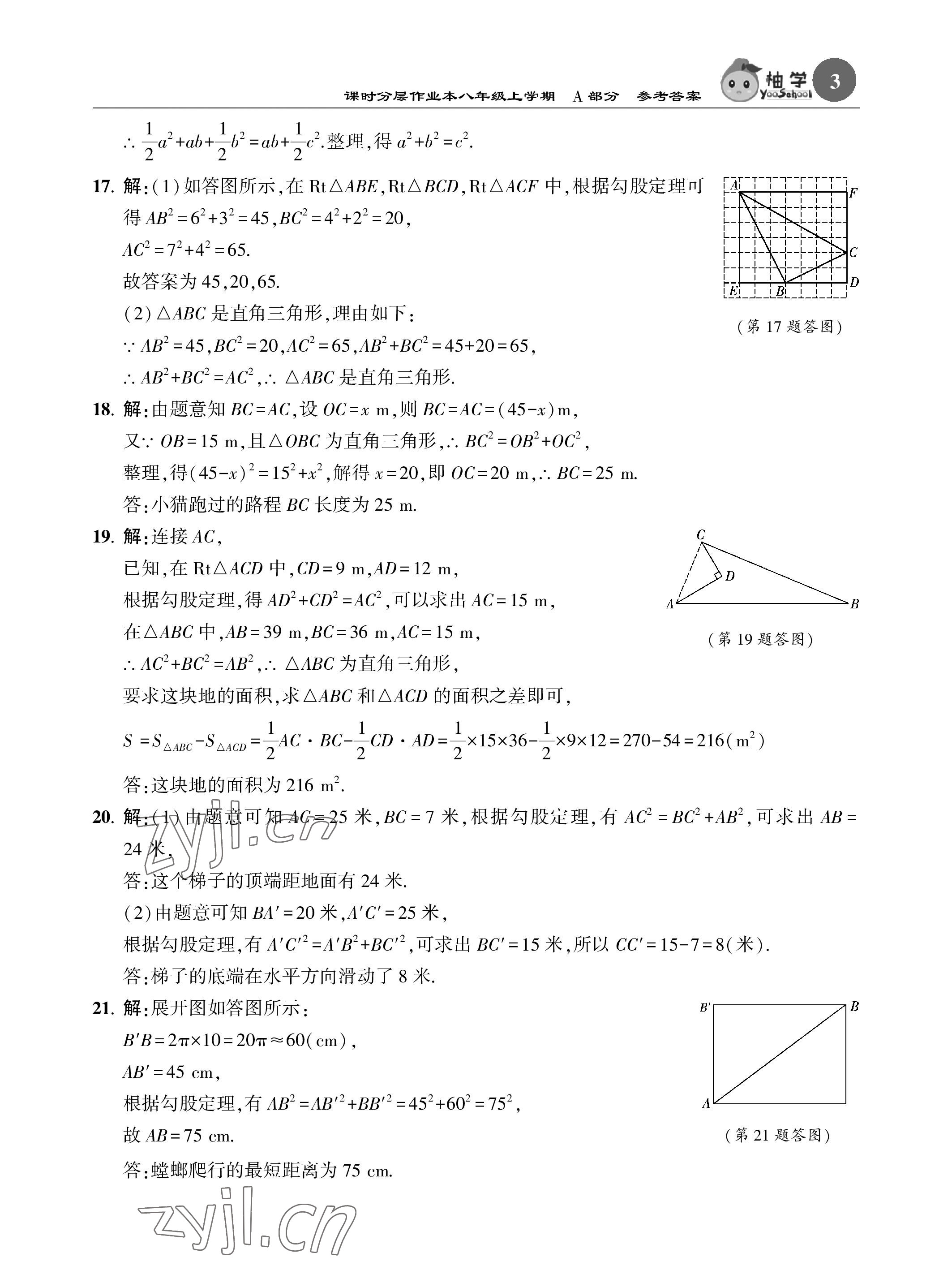 2023年課時分層作業(yè)本八年級數(shù)學上冊北師大版 參考答案第3頁