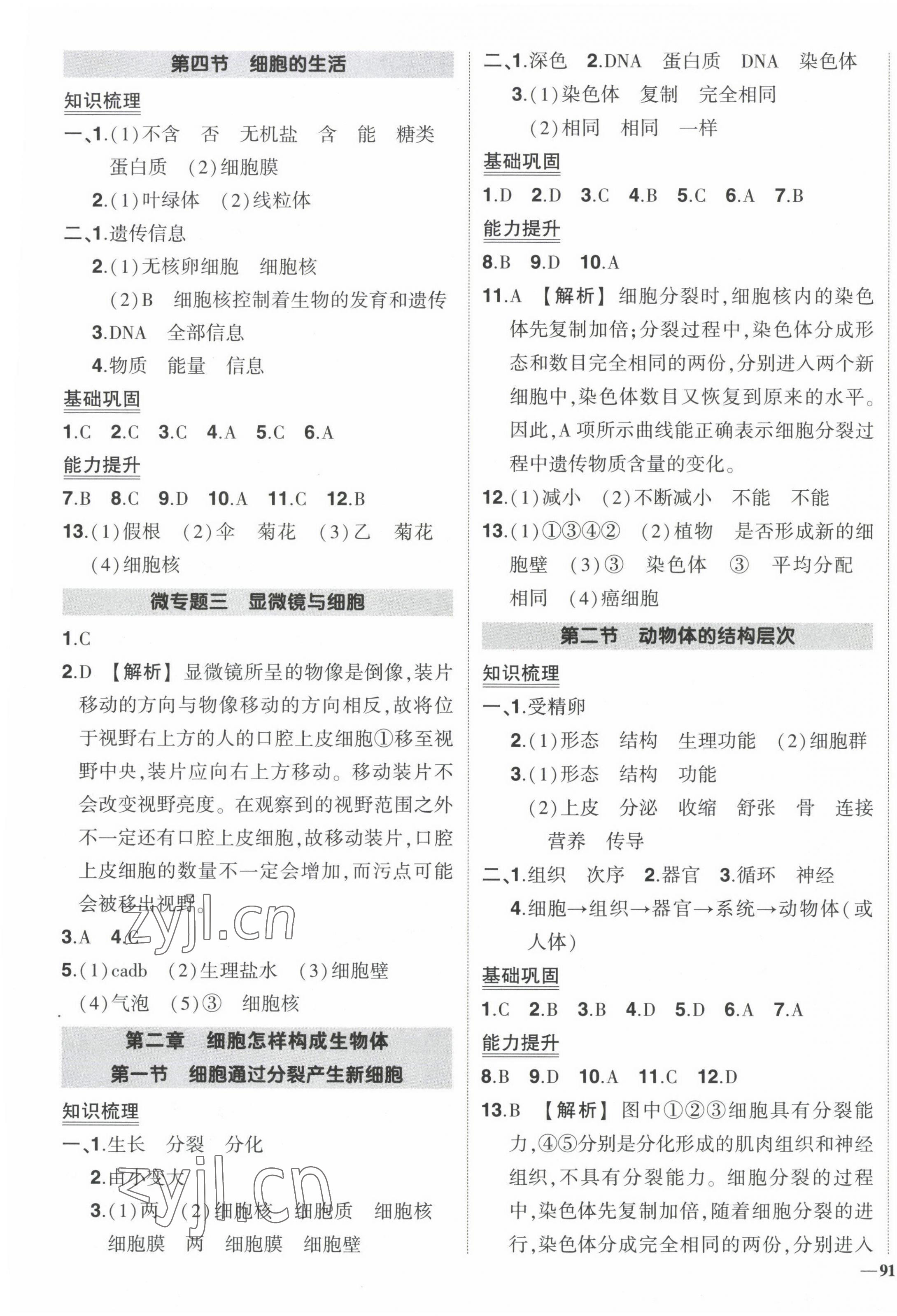 2023年?duì)钤刹怕穭?chuàng)優(yōu)作業(yè)七年級生物上冊人教版 參考答案第5頁