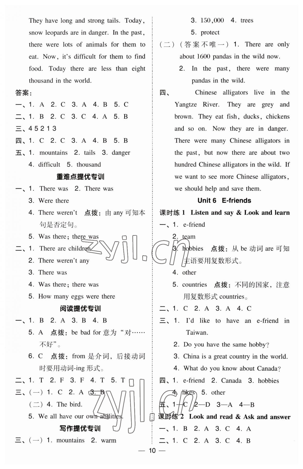 2023年綜合應(yīng)用創(chuàng)新題典中點(diǎn)六年級英語上冊滬教版 第10頁