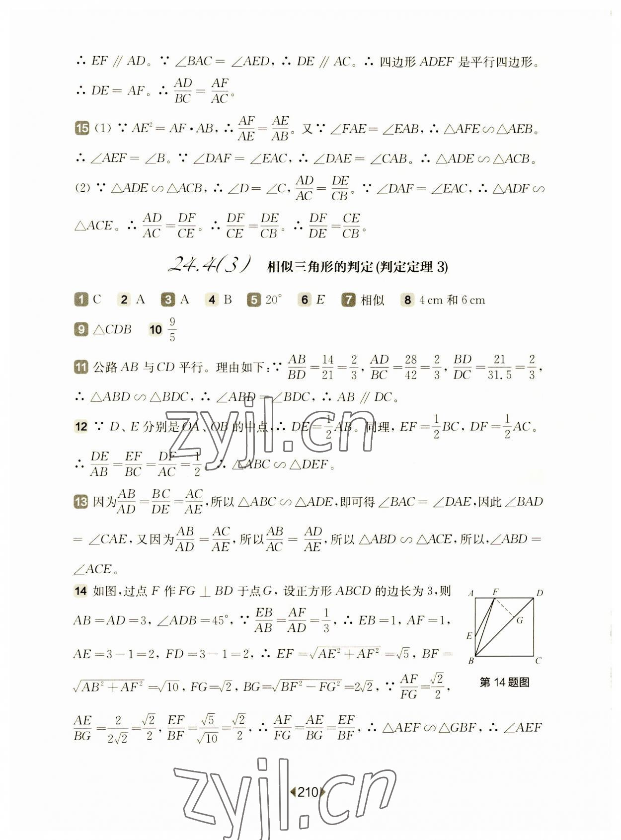 2023年華東師大版一課一練九年級(jí)數(shù)學(xué)全一冊(cè)滬教版54制 參考答案第6頁(yè)