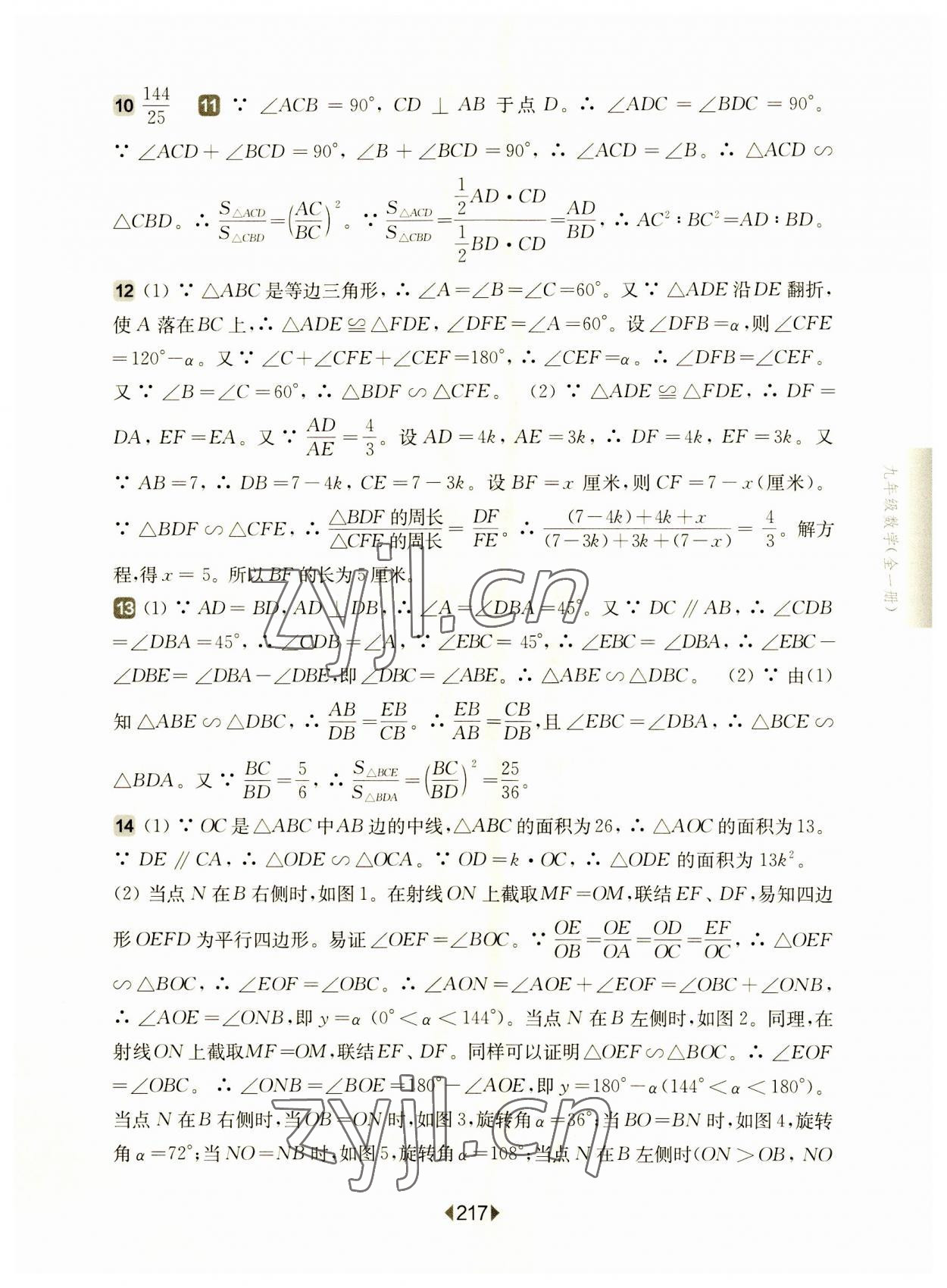 2023年華東師大版一課一練九年級(jí)數(shù)學(xué)全一冊(cè)滬教版54制 參考答案第13頁