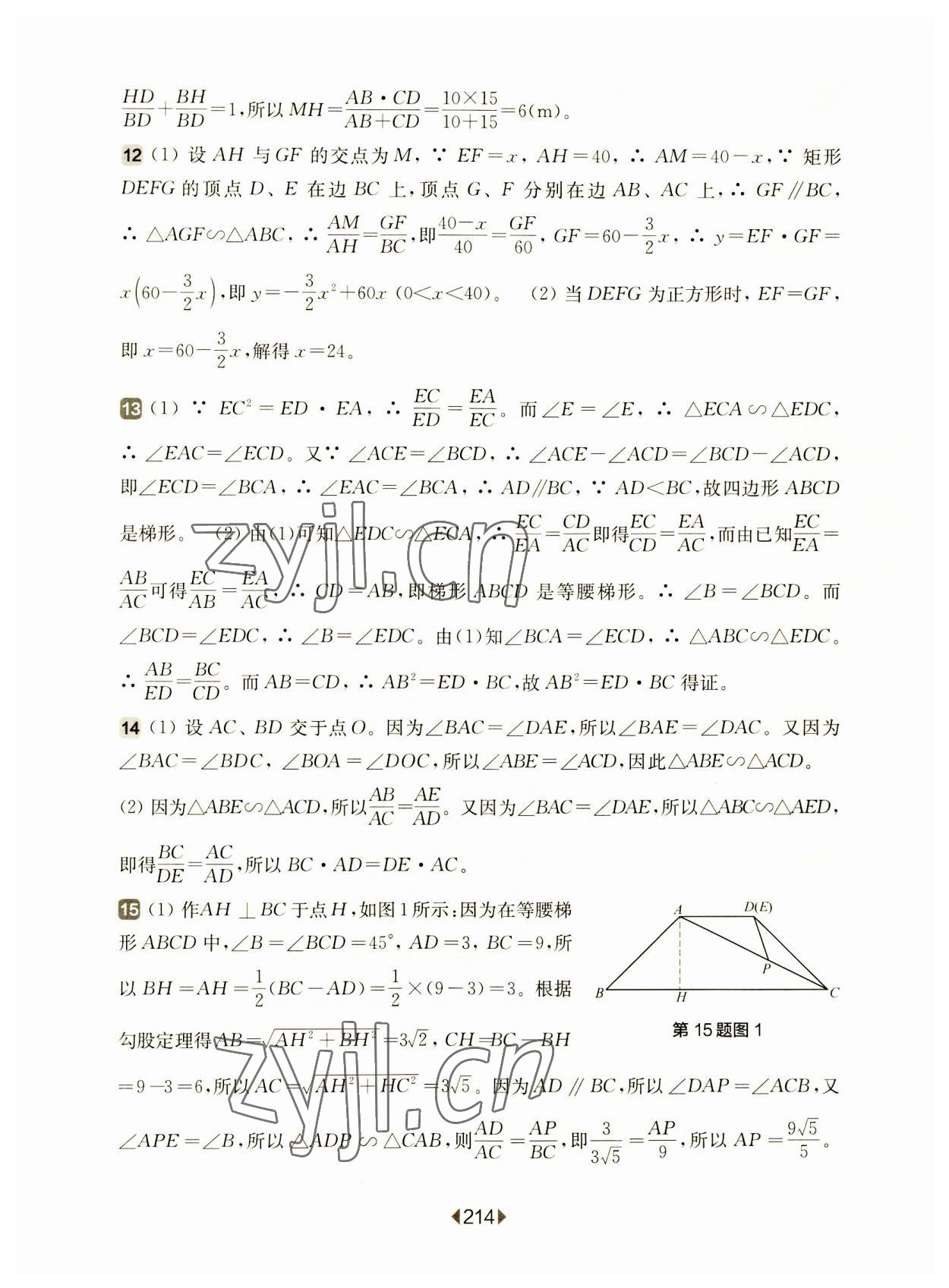 2023年華東師大版一課一練九年級數(shù)學(xué)全一冊滬教版54制 參考答案第10頁