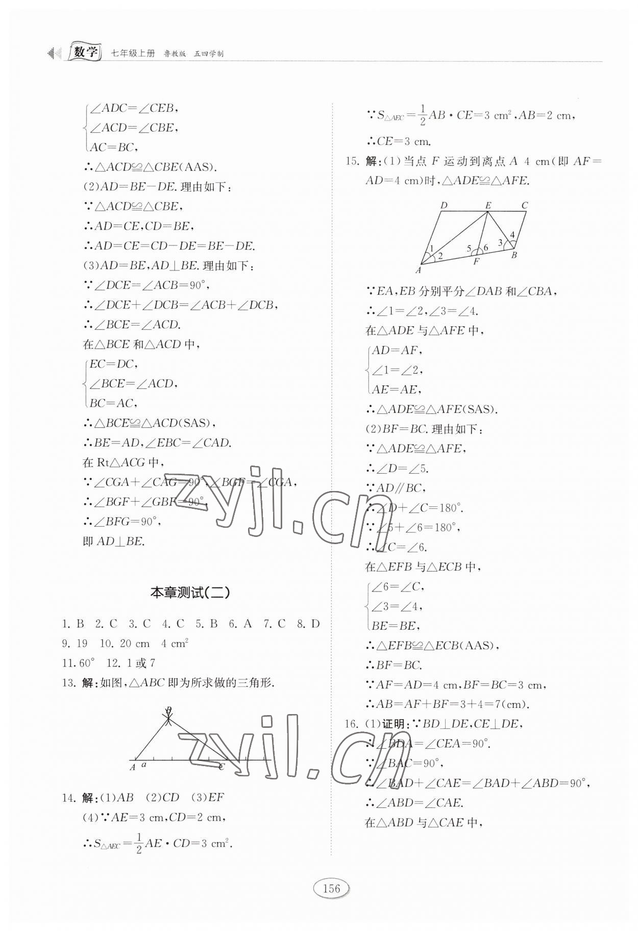 2023年同步練習(xí)冊山東科學(xué)技術(shù)出版社七年級數(shù)學(xué)上冊魯教版 第6頁