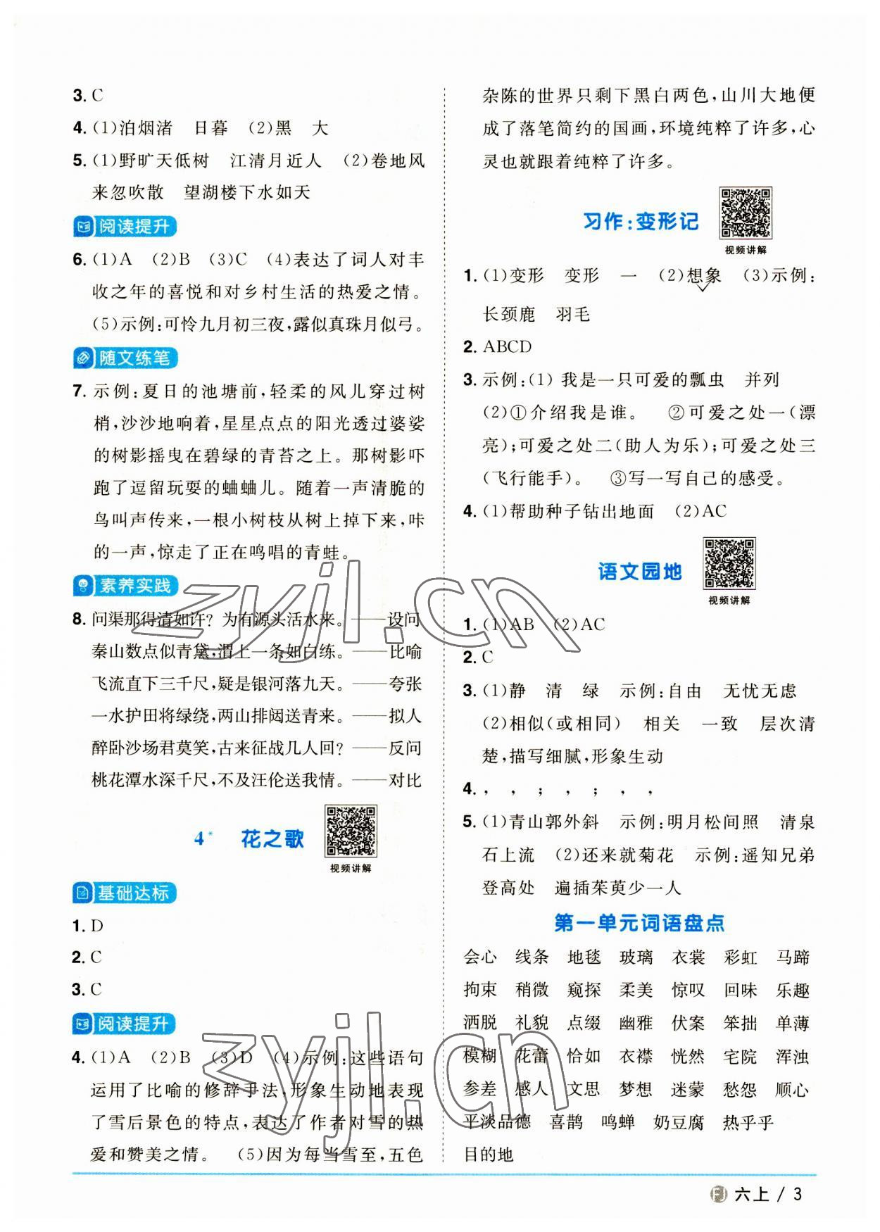 2023年阳光同学课时优化作业六年级语文上册人教版福建专版 参考答案第3页